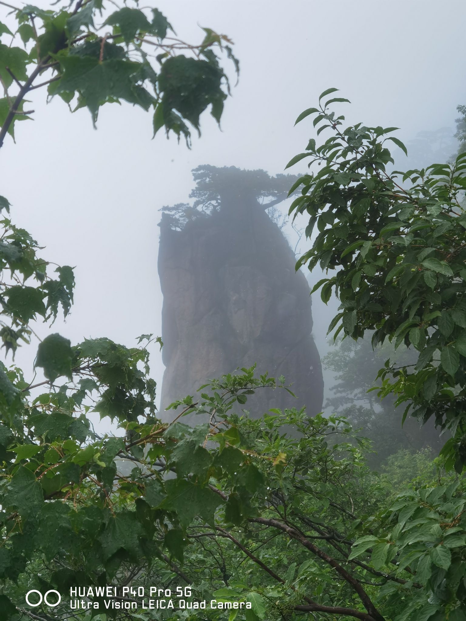 文锋园旅行图片 2