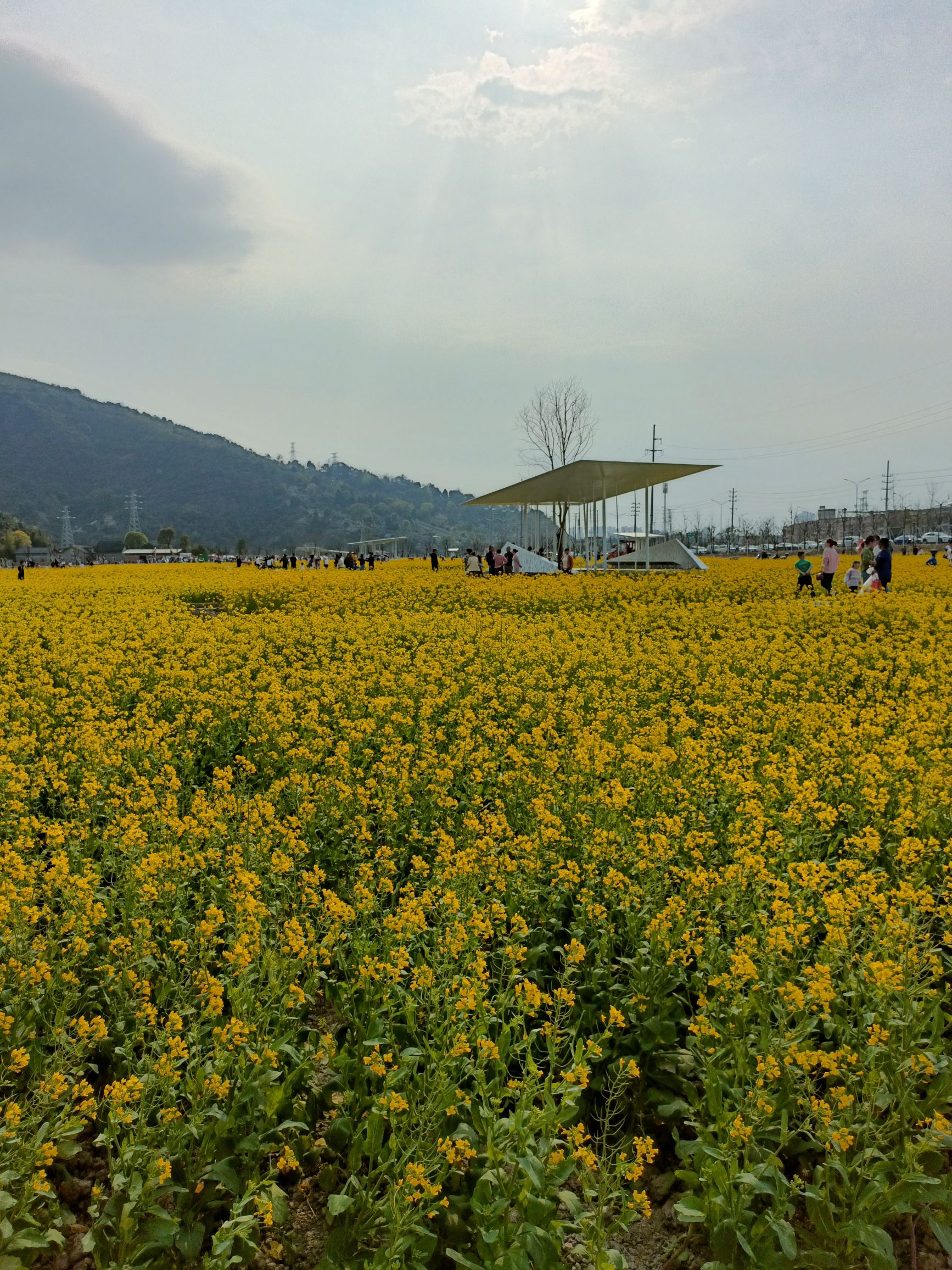 黄岩生态农业田园旅行图片 1