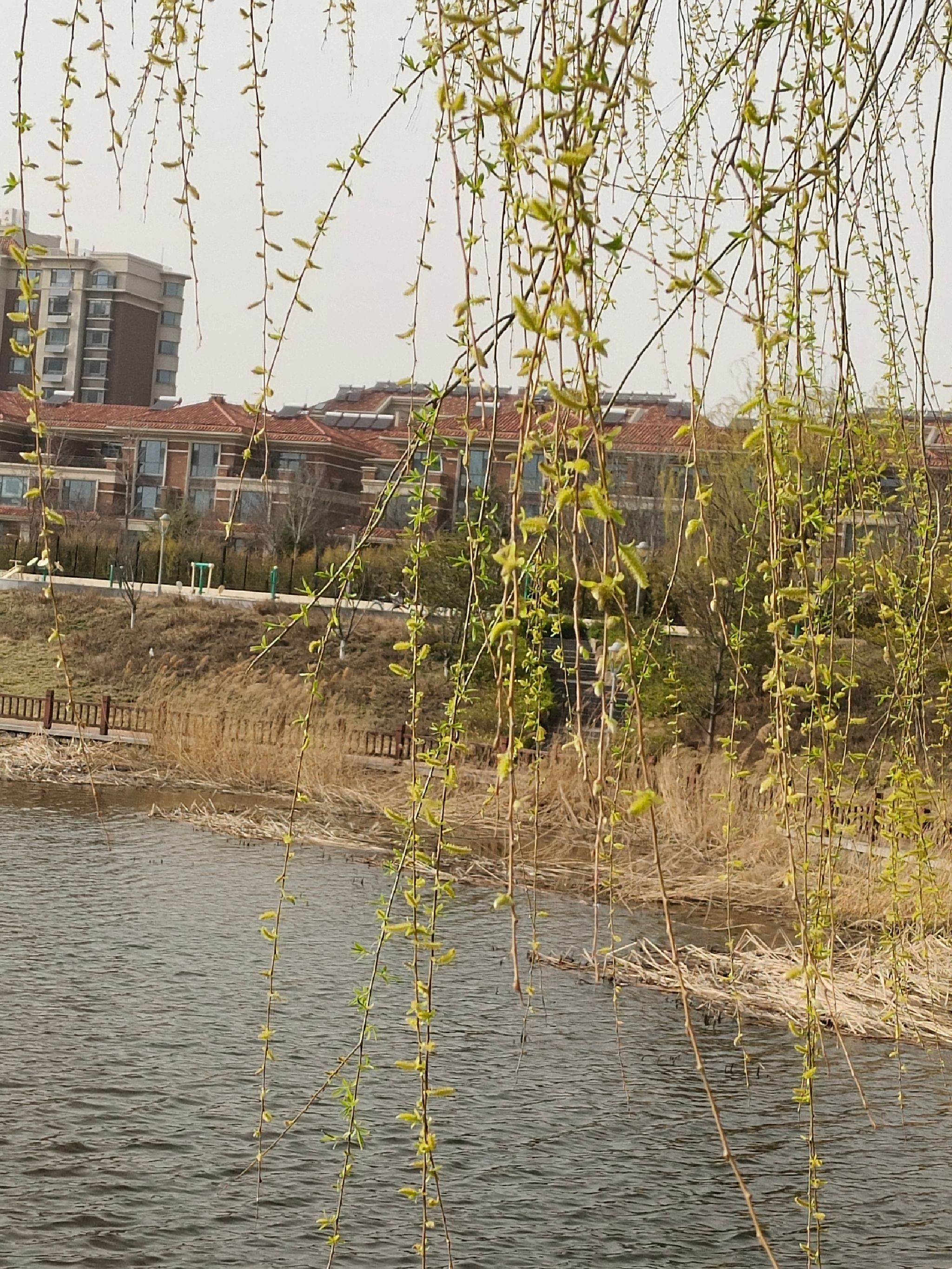 八一广场旅行图片 1