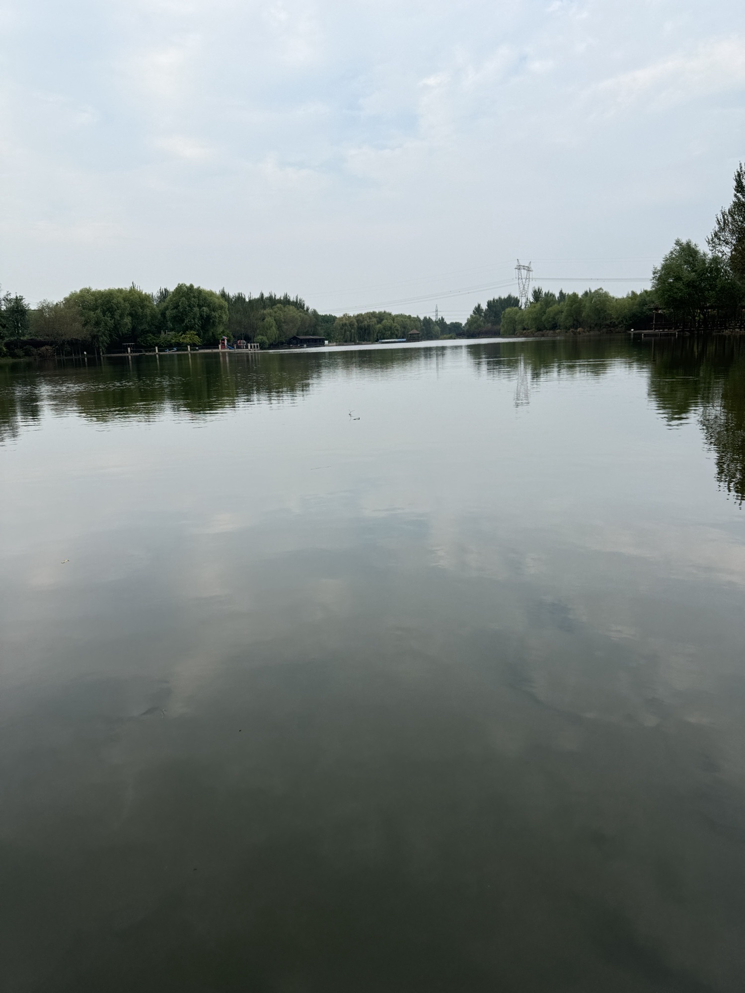 御龙湖湿地公园旅行图片 1