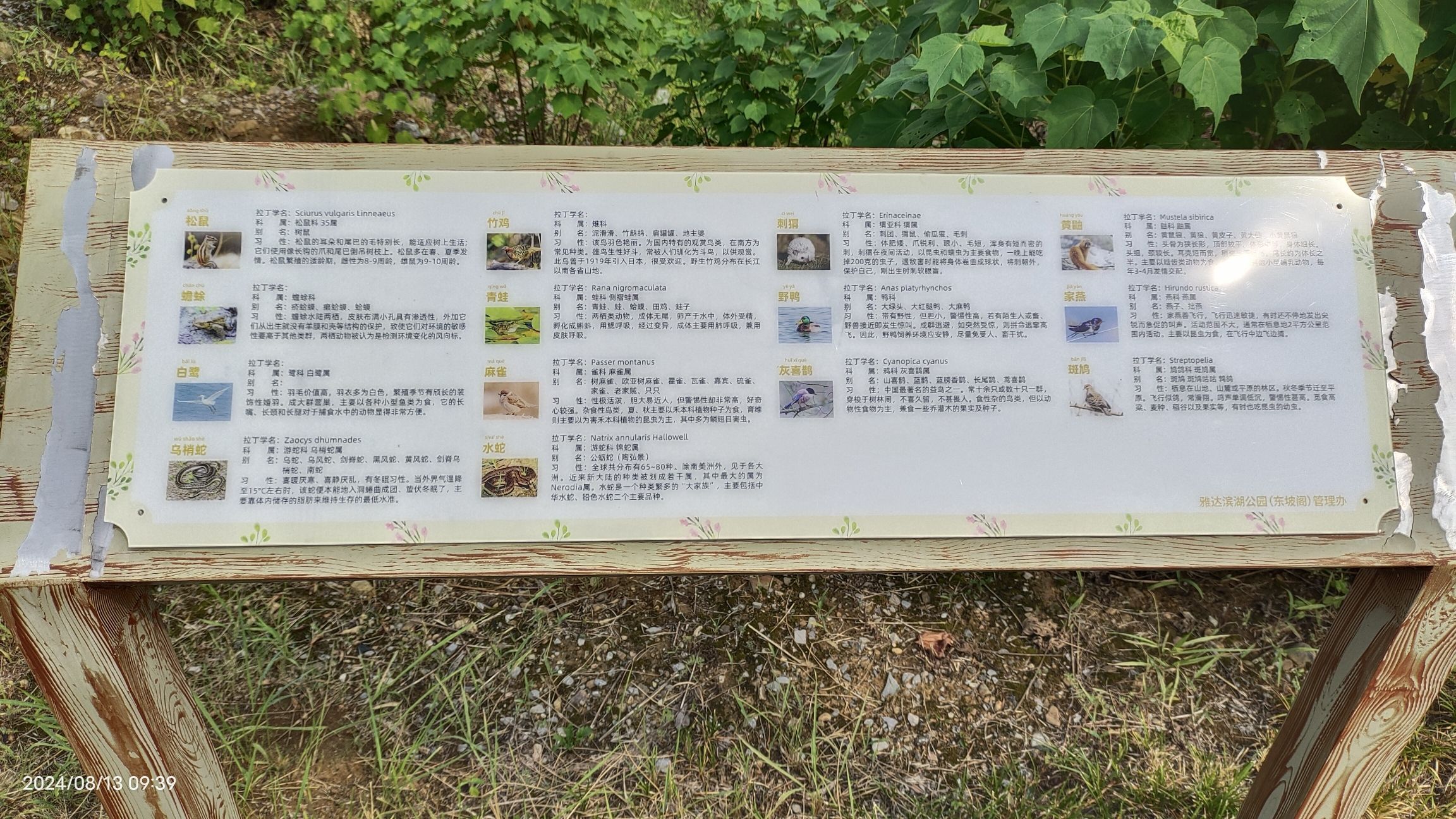 宜兴阳羡生态旅游度假区旅行图片 3