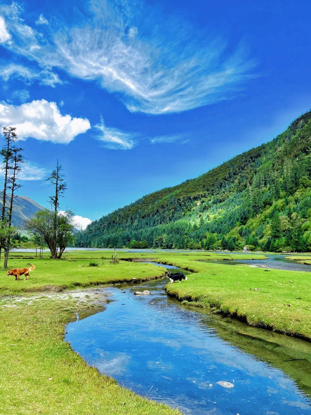 围场坝上御道口牧场月亮湖风景区
