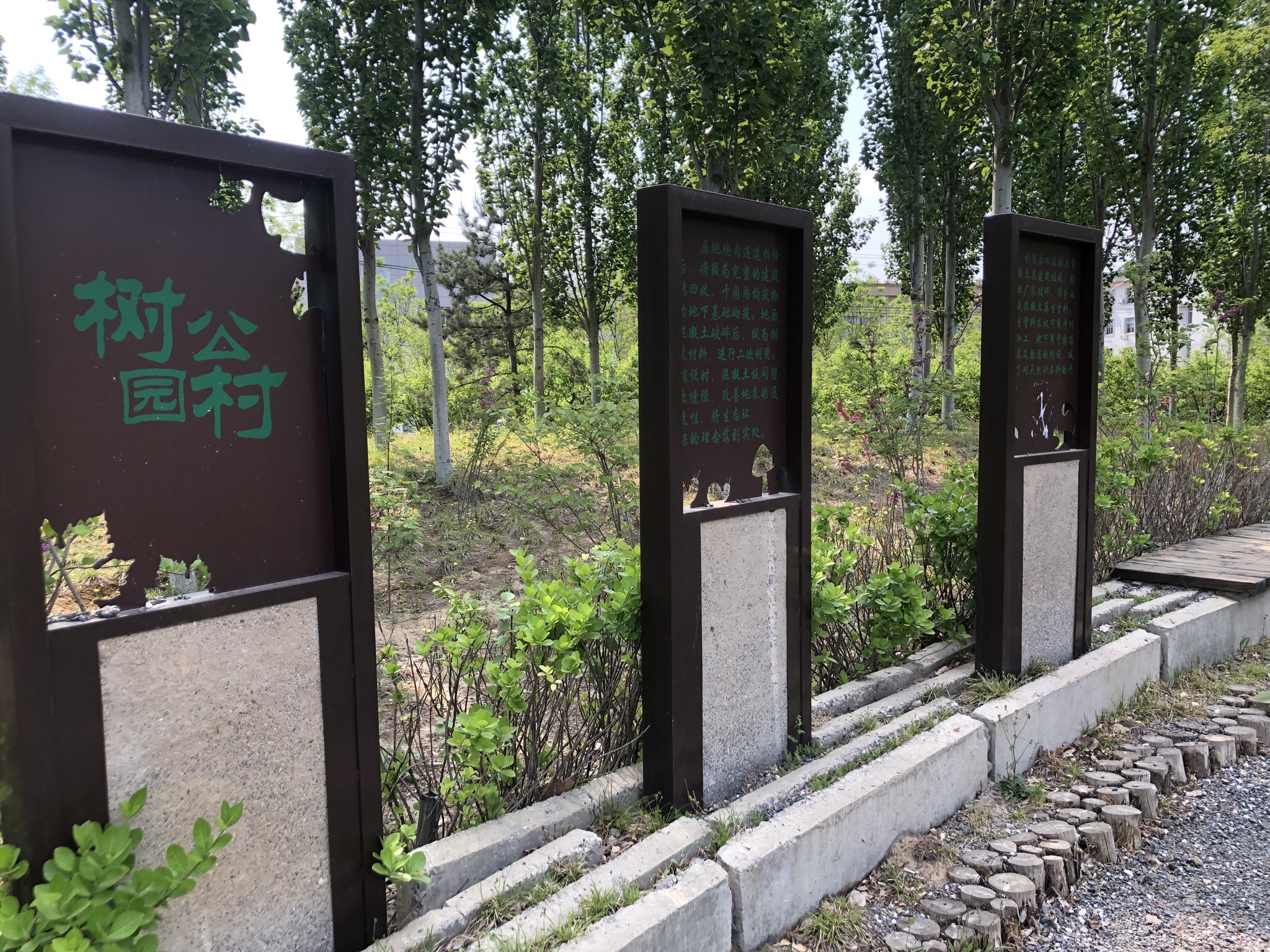 树村公园旅行图片 2