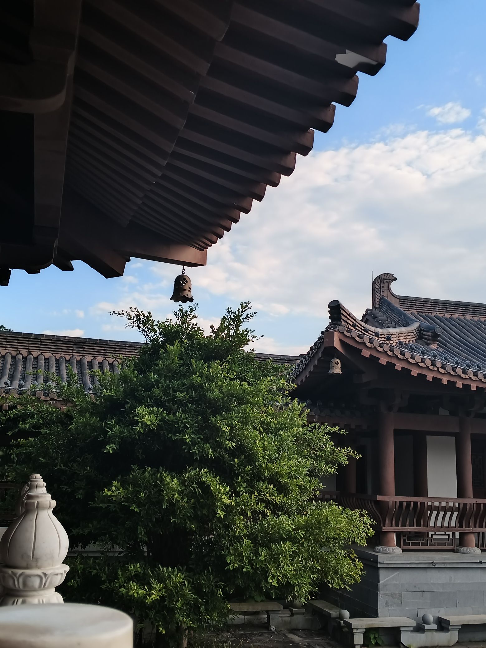 月光岛旅行图片 3