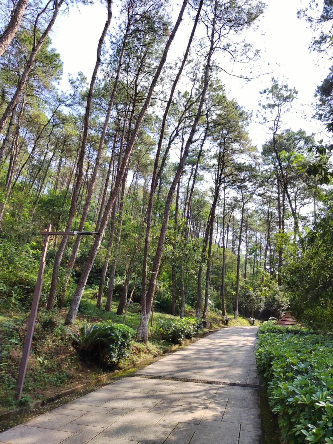 玉林市狮子山公园旅行图片 2
