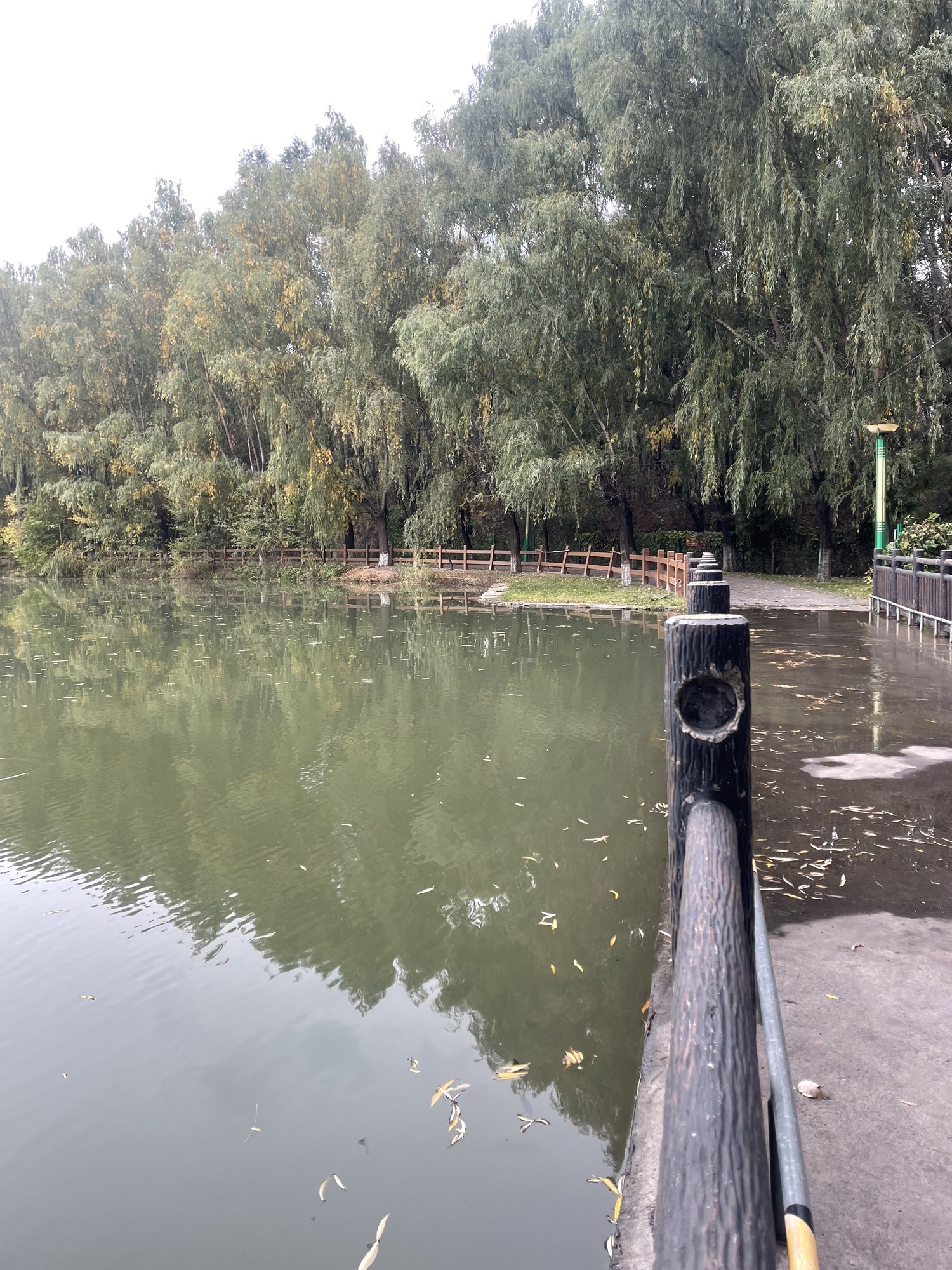 海子河公园旅行图片 3