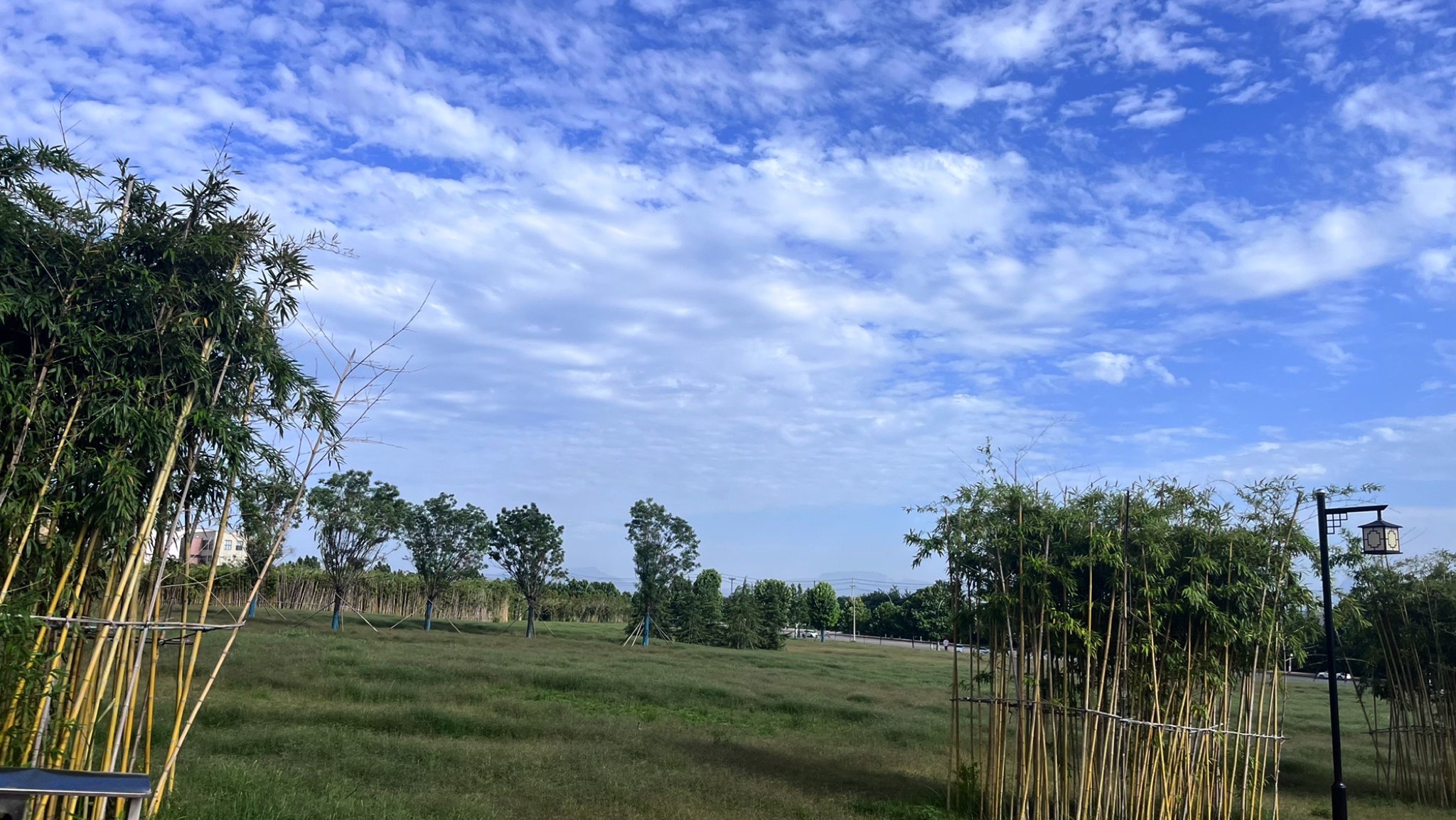 首阳山森林公园旅行图片 1