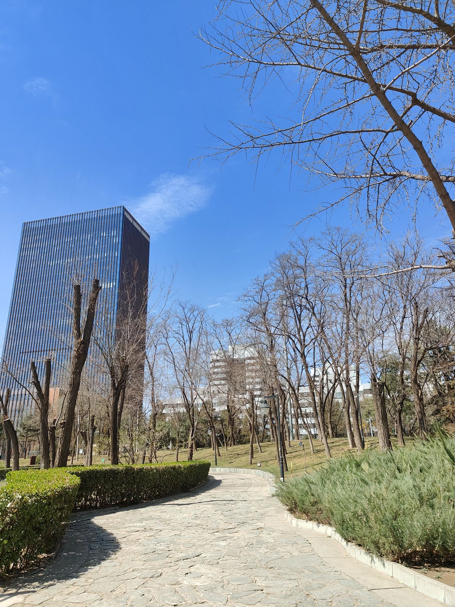 丽都花园旅行图片 3
