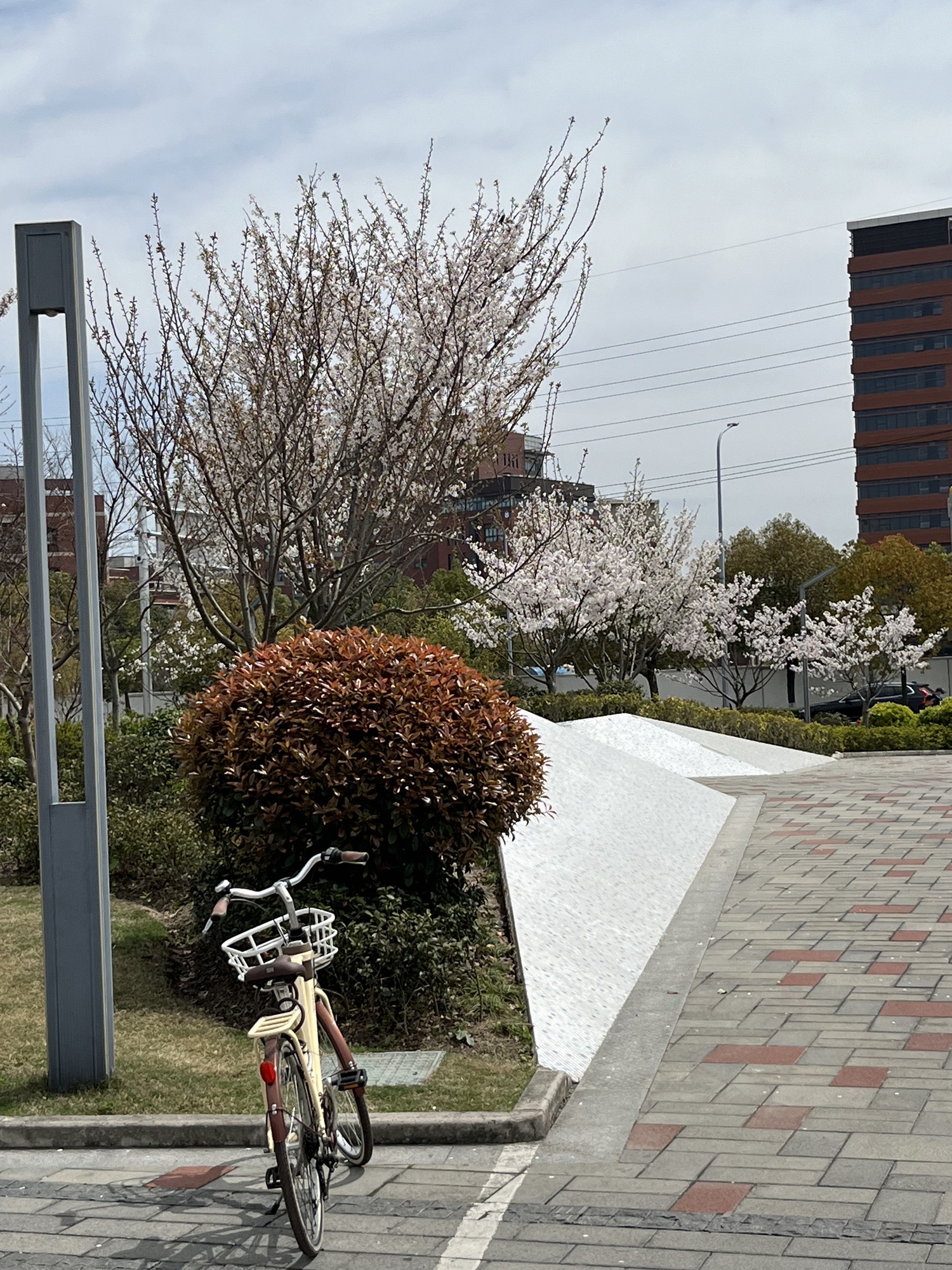 古美公园旅行图片 2
