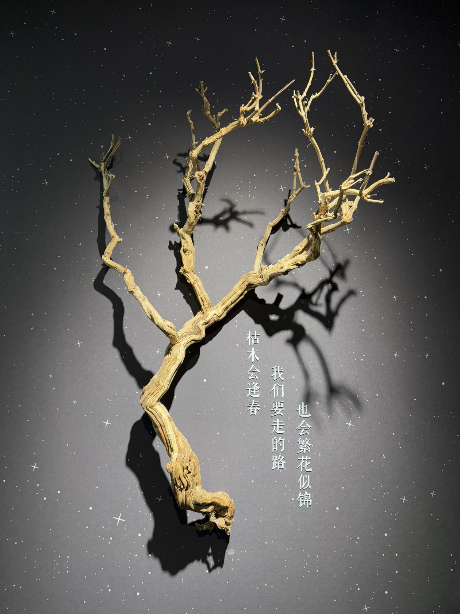 寿县古城二十四节气馆旅行图片 3