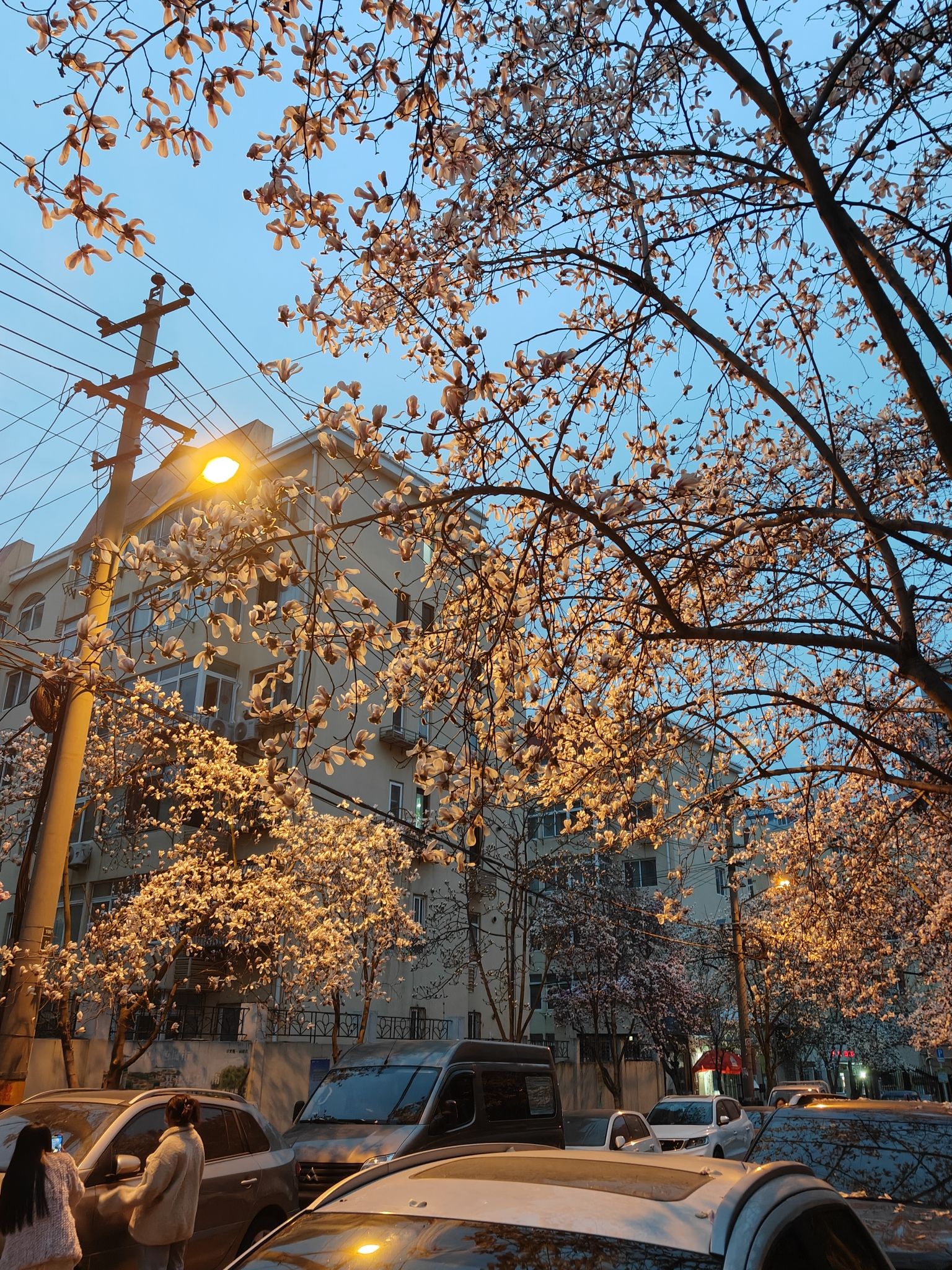 珠海一路