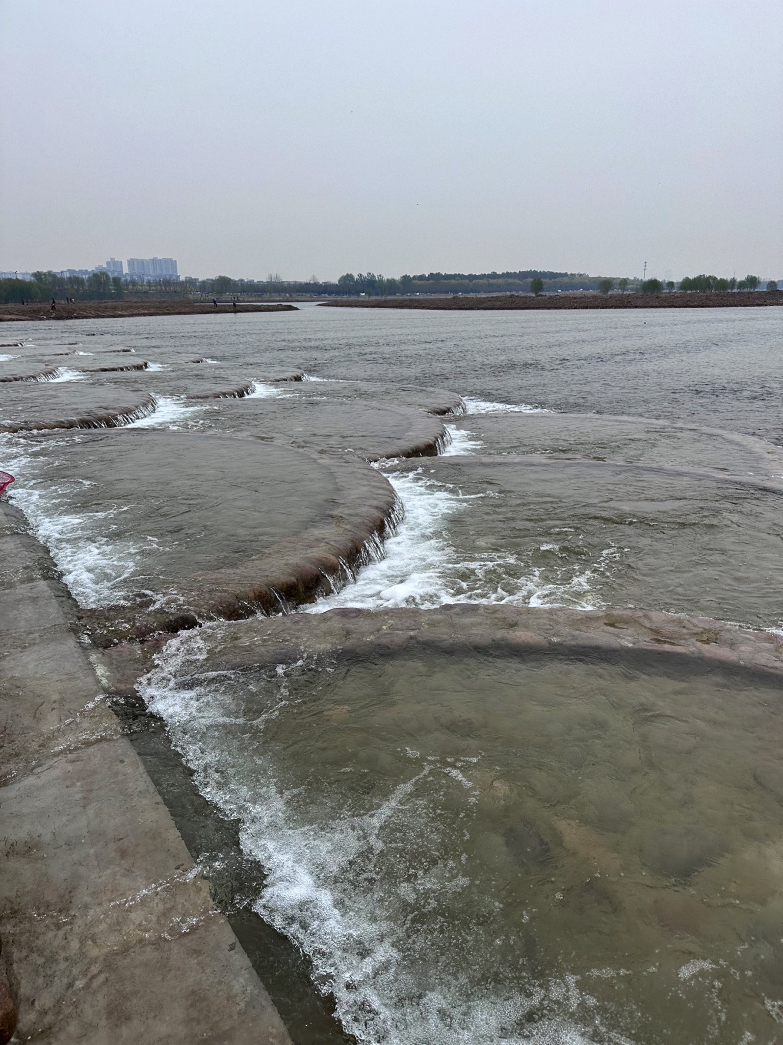 胜利大街花海旅行图片 1