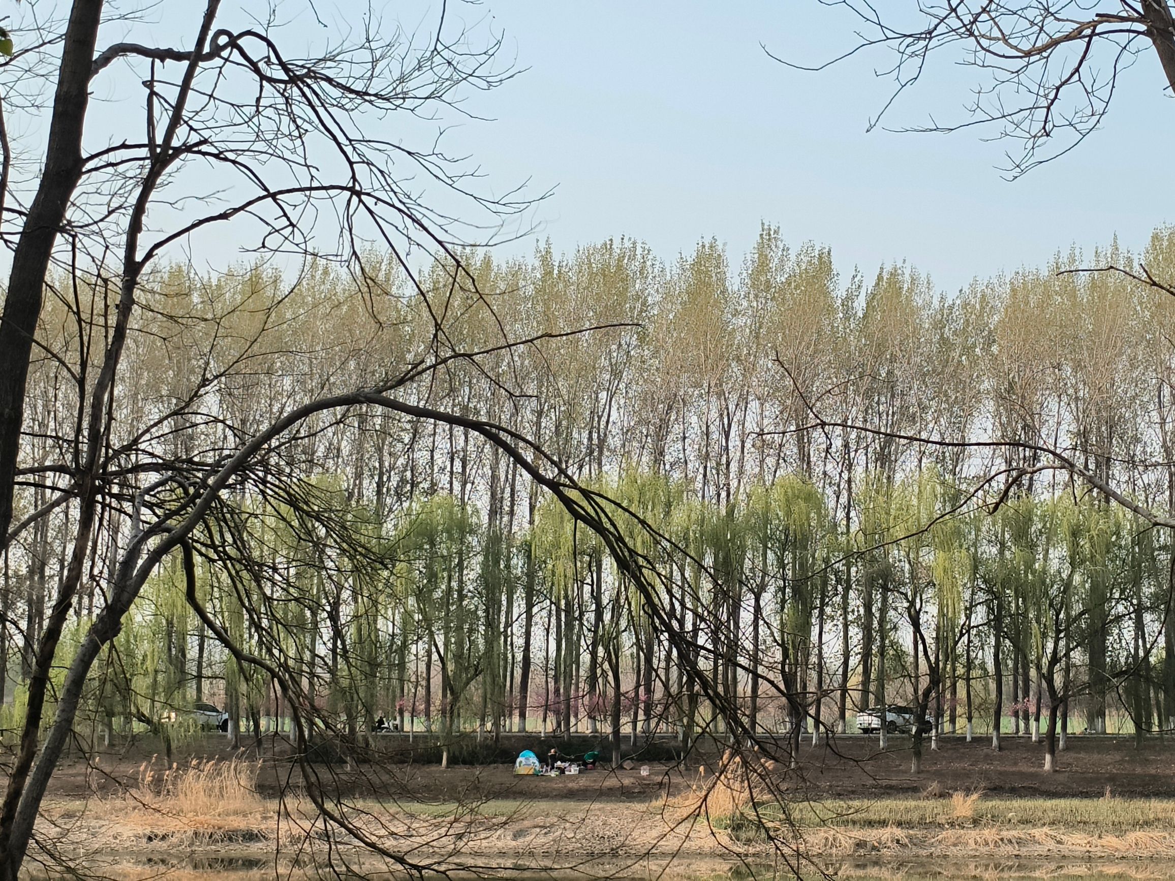 龙凤河观景台旅行图片 2