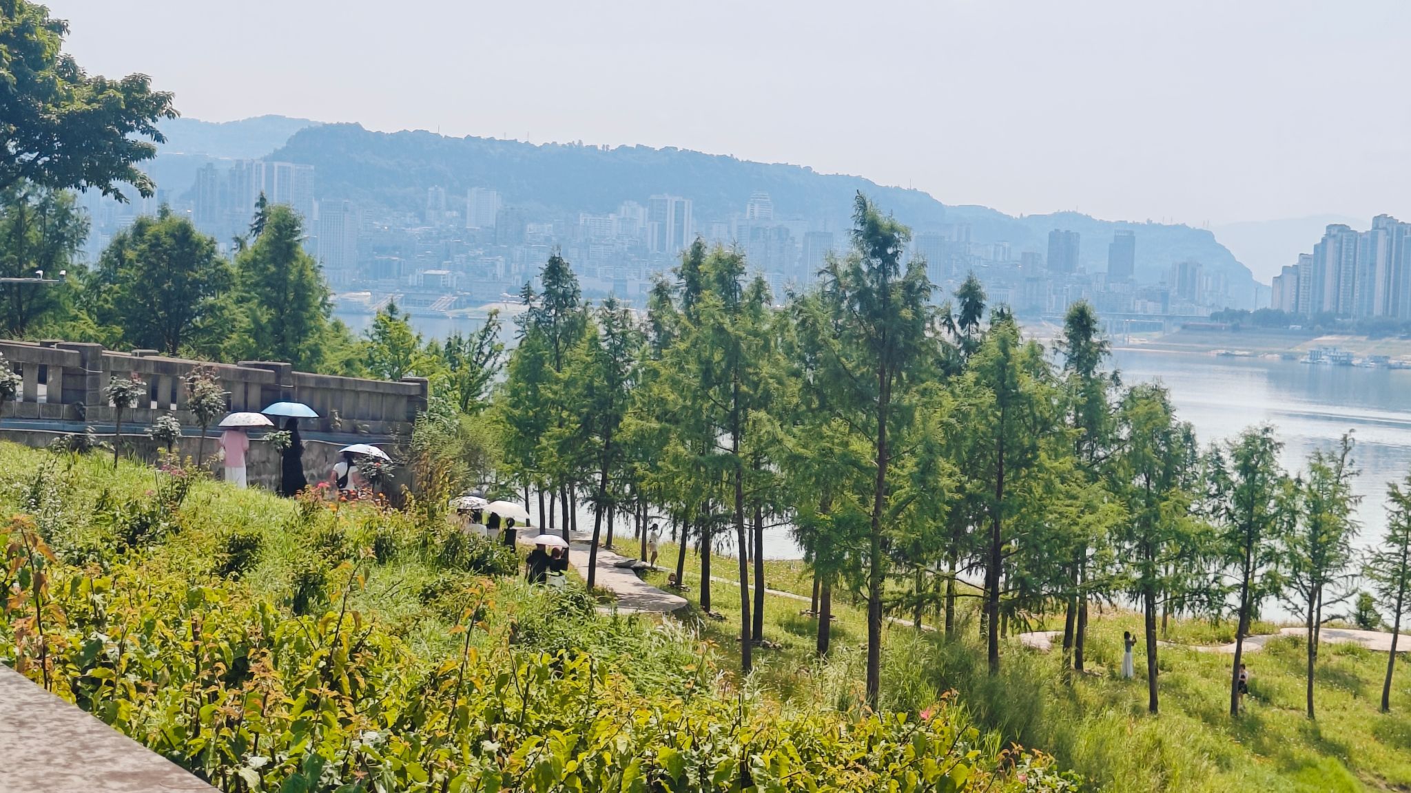 白鹭湾旅行图片 1