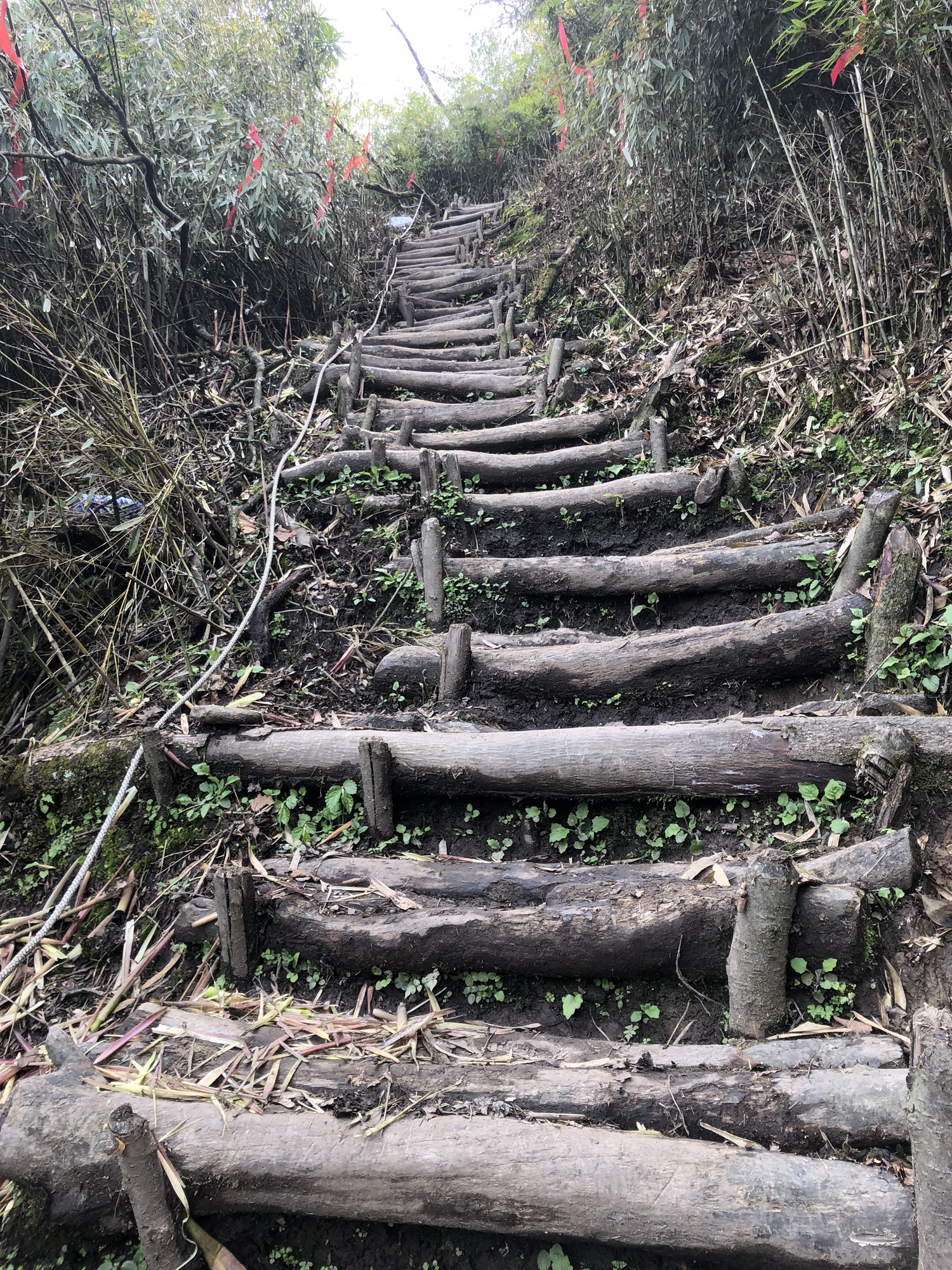 赵公山景区(西线)旅行图片 2