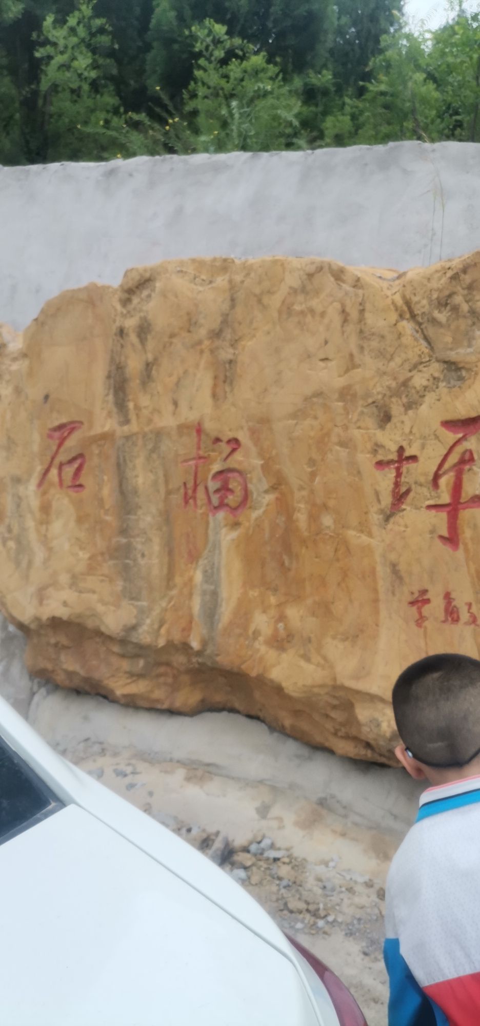 义马市清风山网红草粉黛草旅行图片 2
