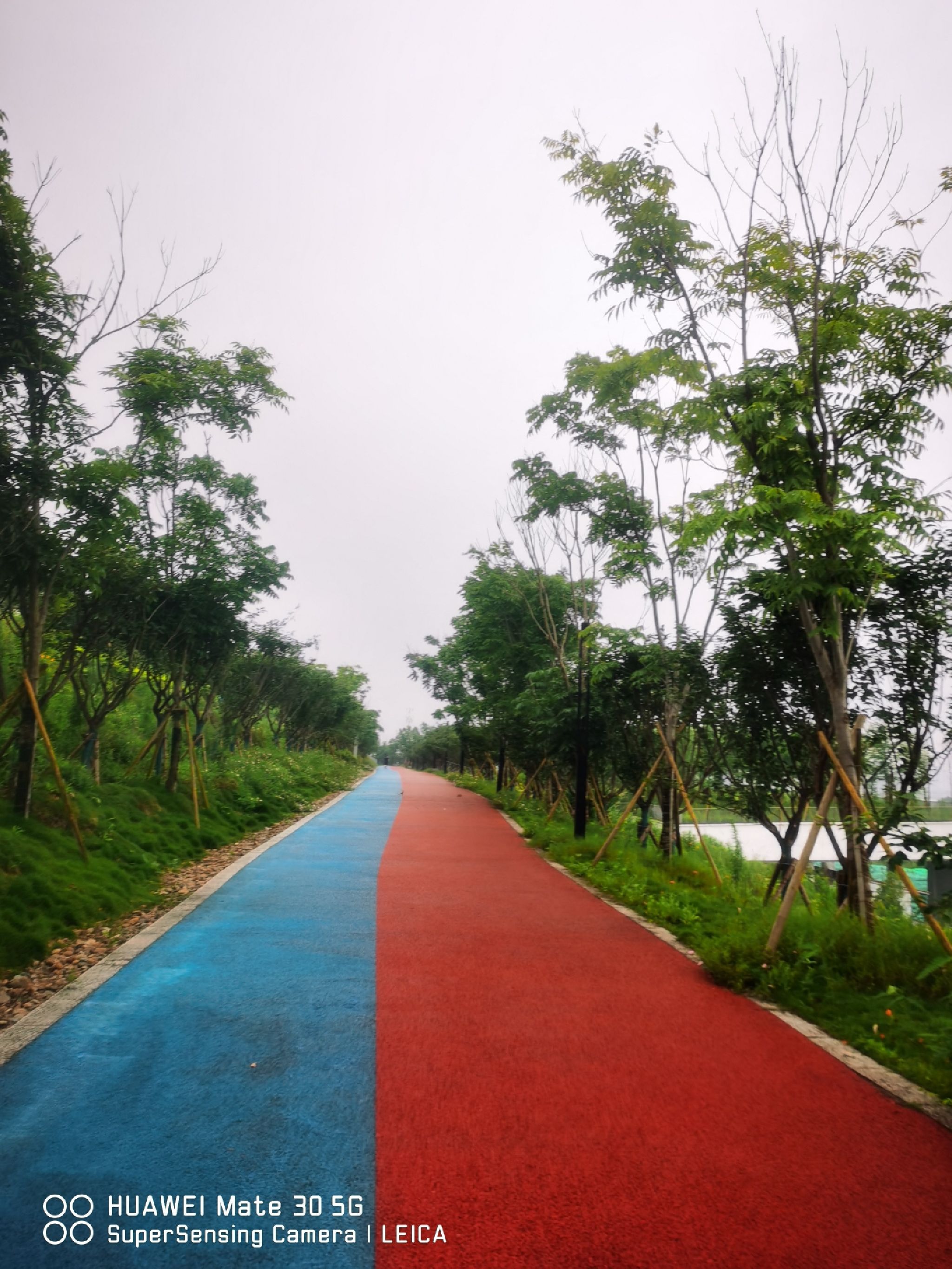 桃花岛公园旅行图片 1