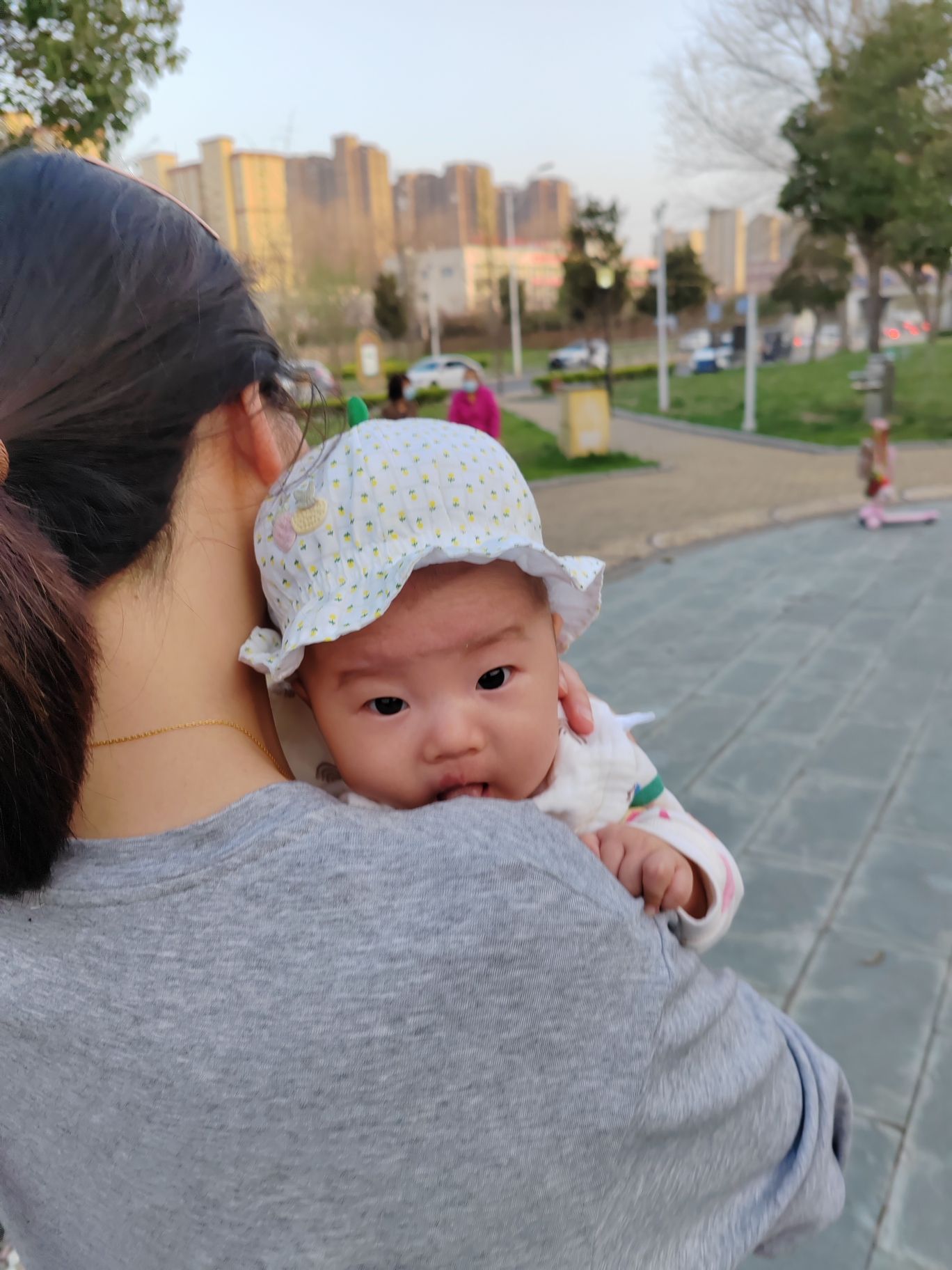 新郑市轩辕湖湿地文化园旅行图片 2