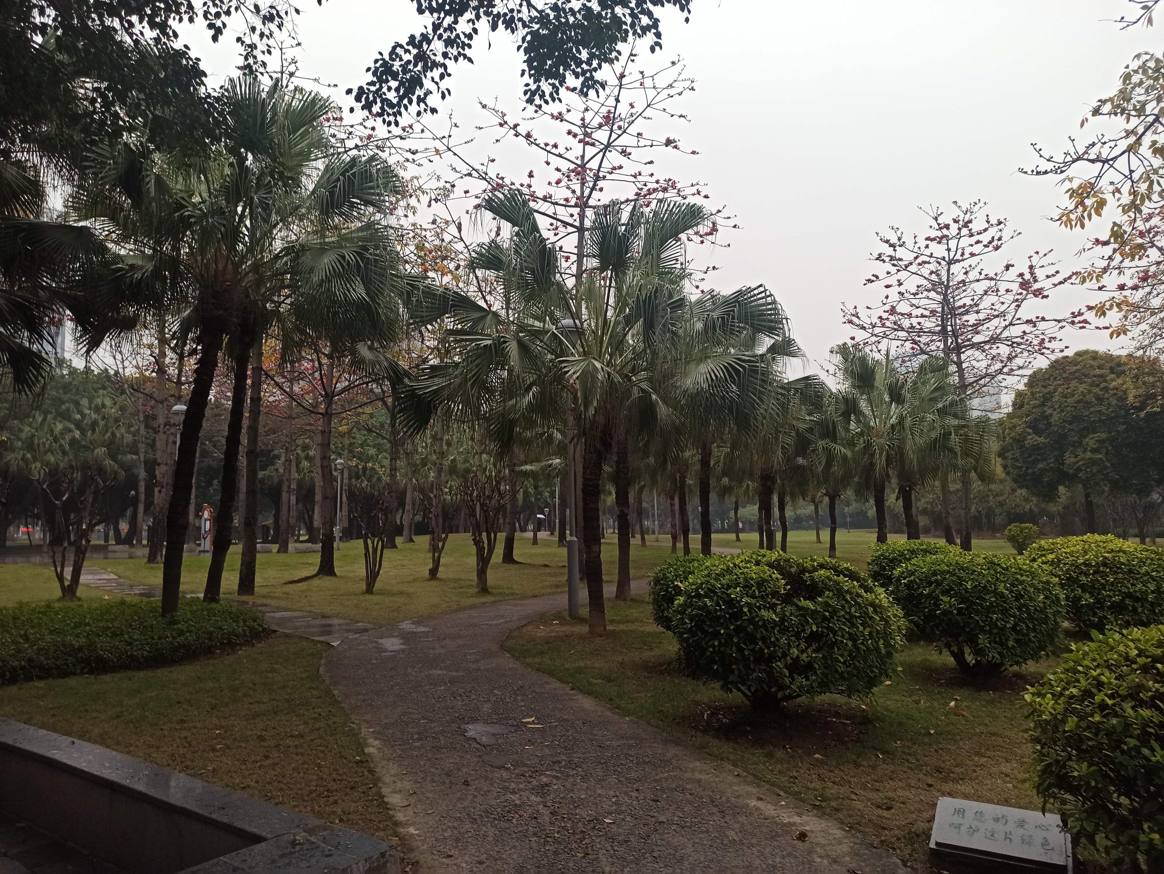 季华园旅行图片 2