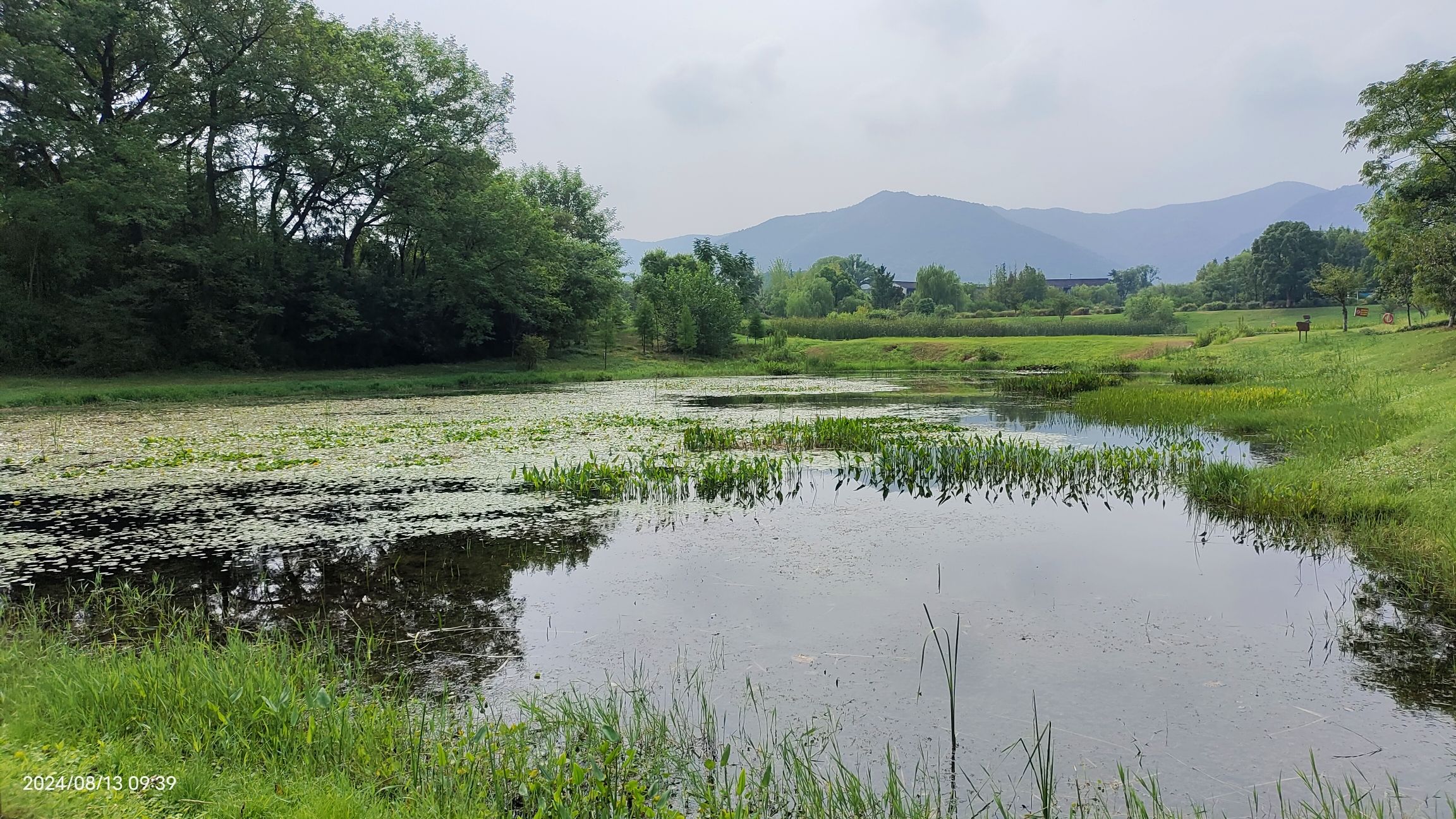 宜兴阳羡生态旅游度假区旅行图片 2