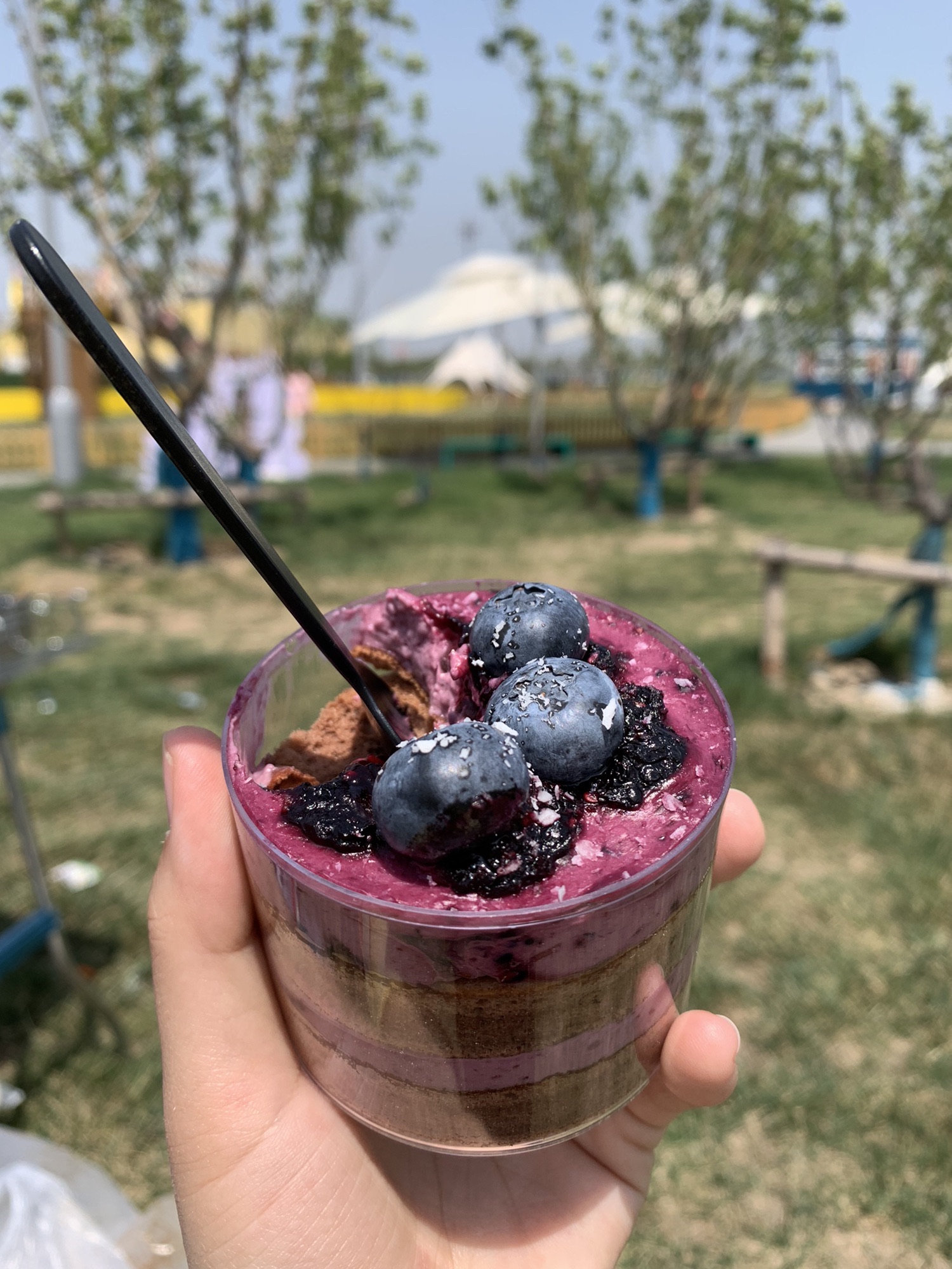 动物科学王国旅行图片 2