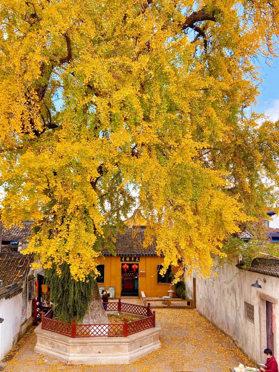 太平禅寺实景照片