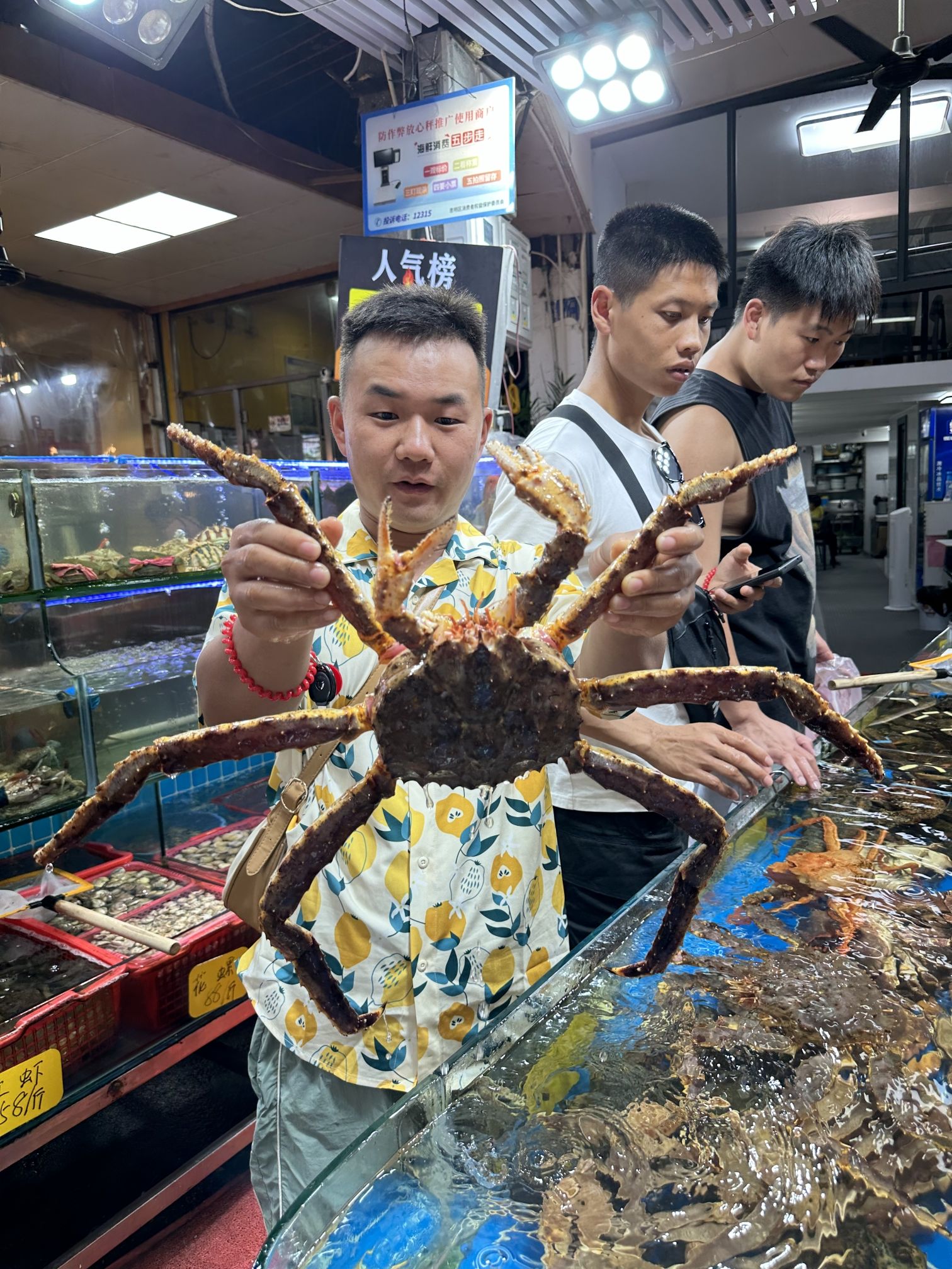 南宁市花卉公园旅行图片 3