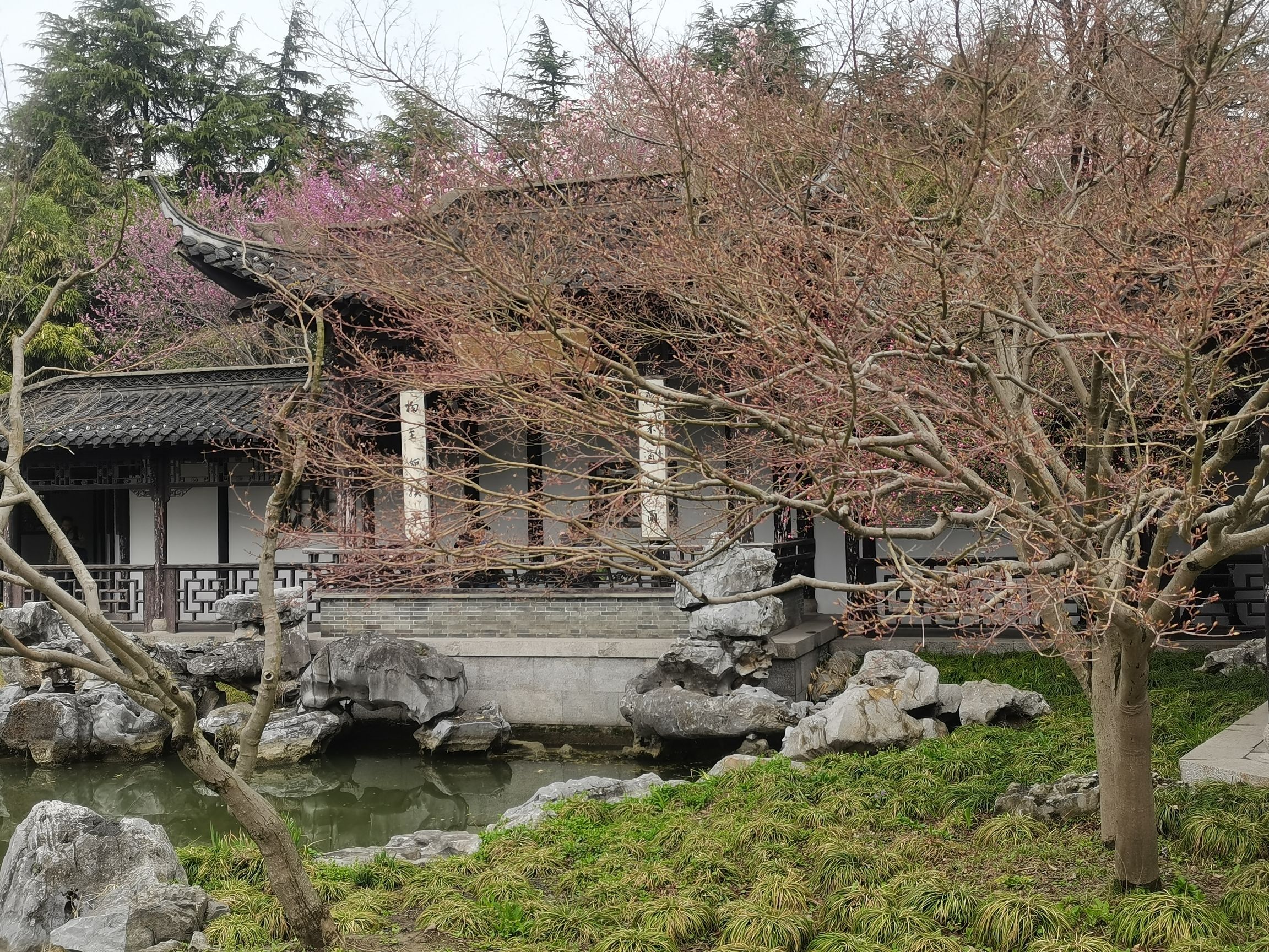 唐城遗址-成象苑旅行图片 3