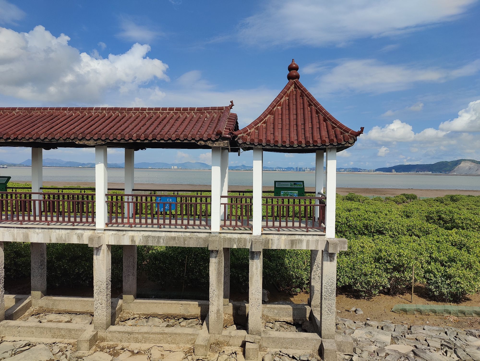 海山乡红树林湿地旅行图片 3