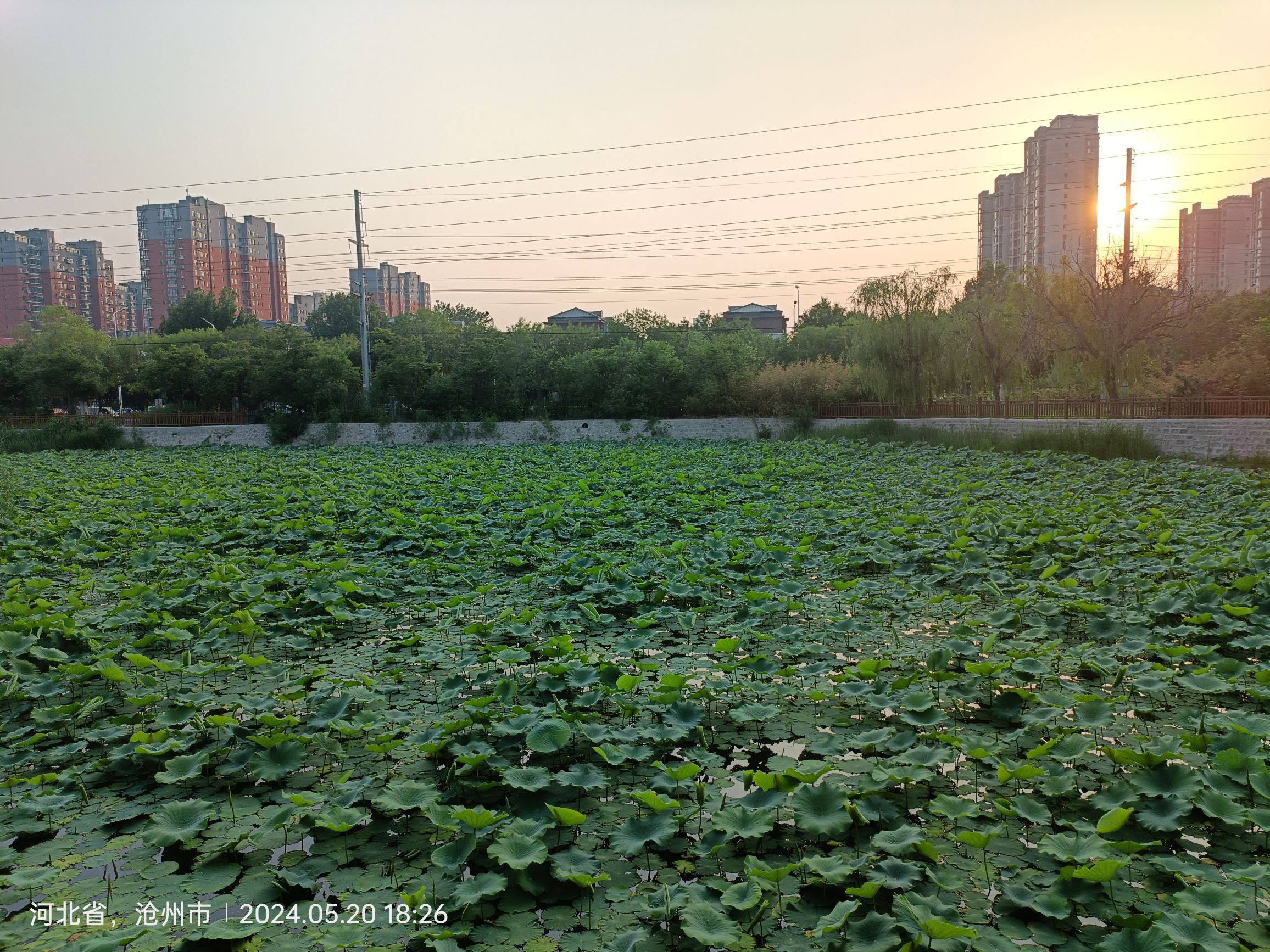 雁翎公园旅行图片 3