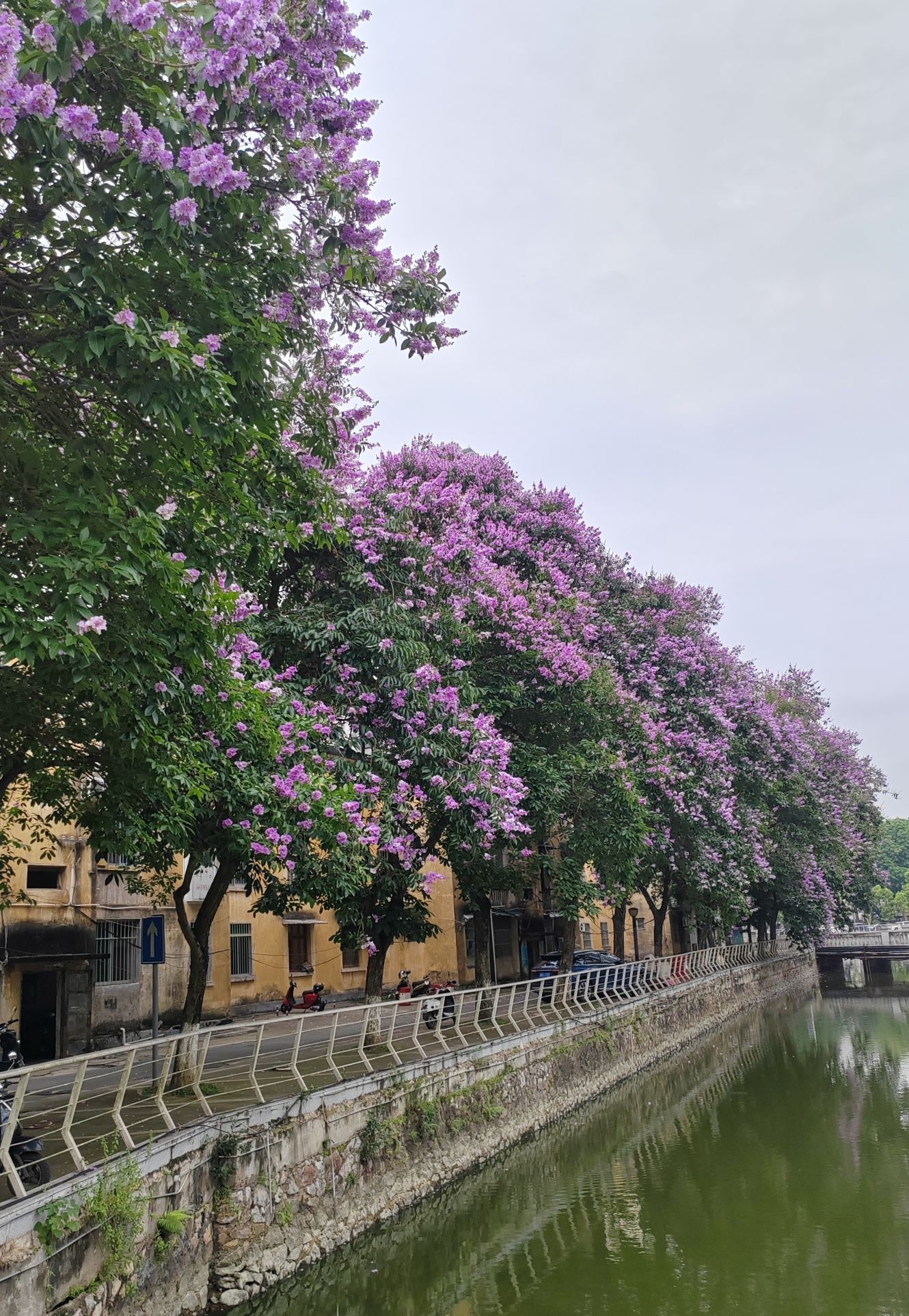 世纪花园旅行图片 1