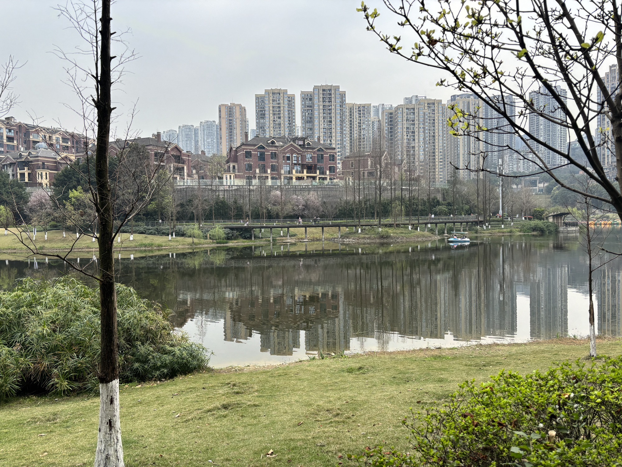 融侨公园旅行图片 3