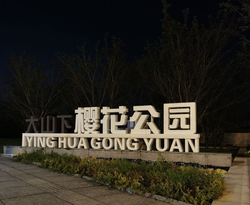 樱花公园旅行图片 2