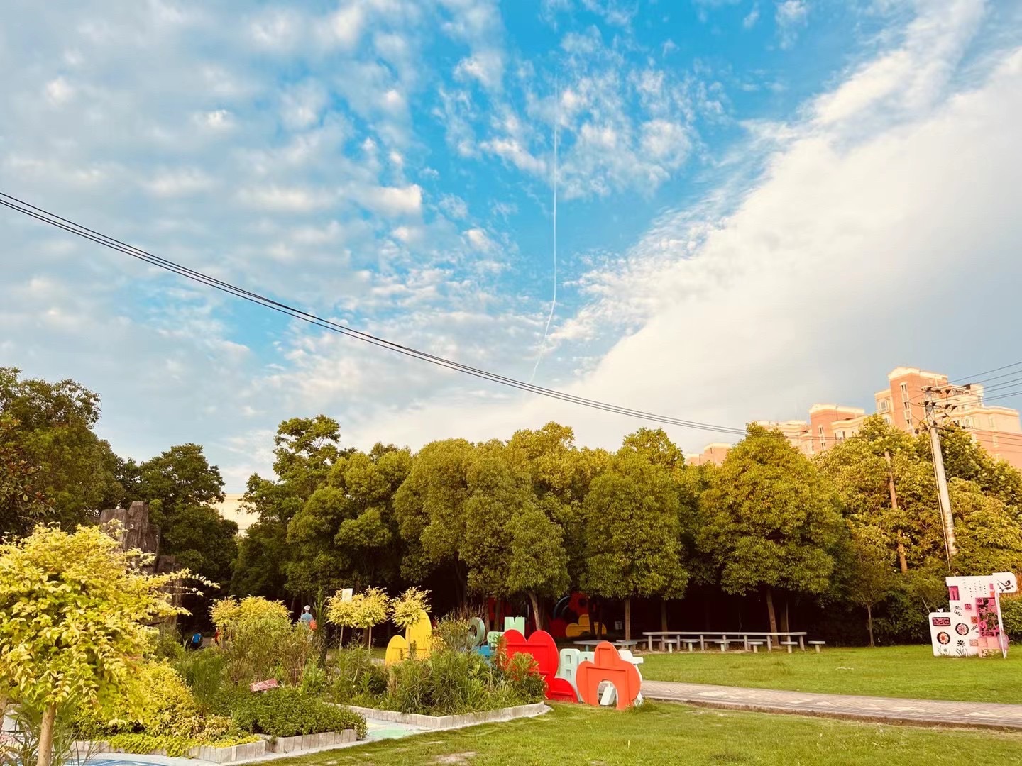 东明公园旅行图片 2