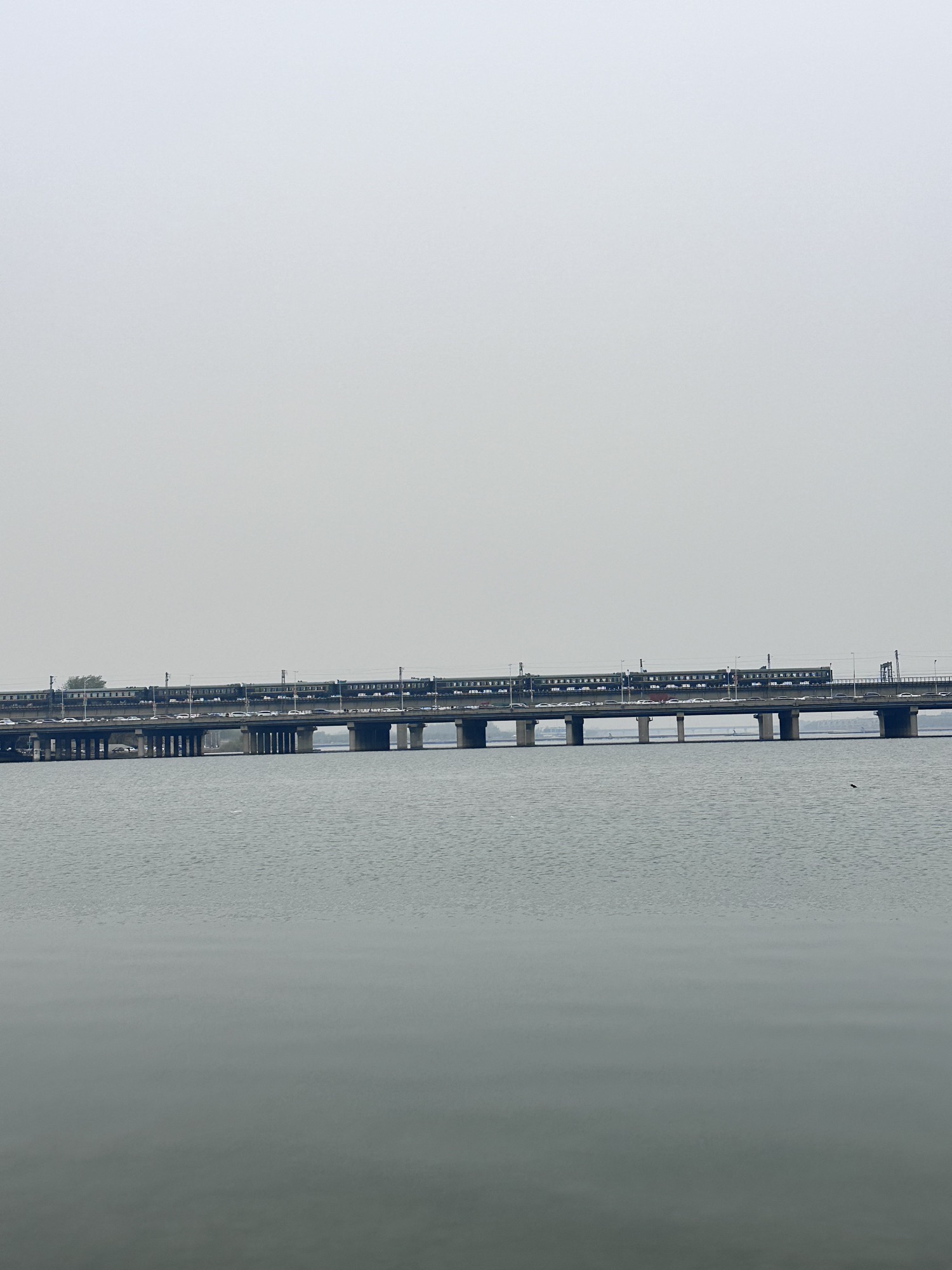 胜利大街花海旅行图片 2