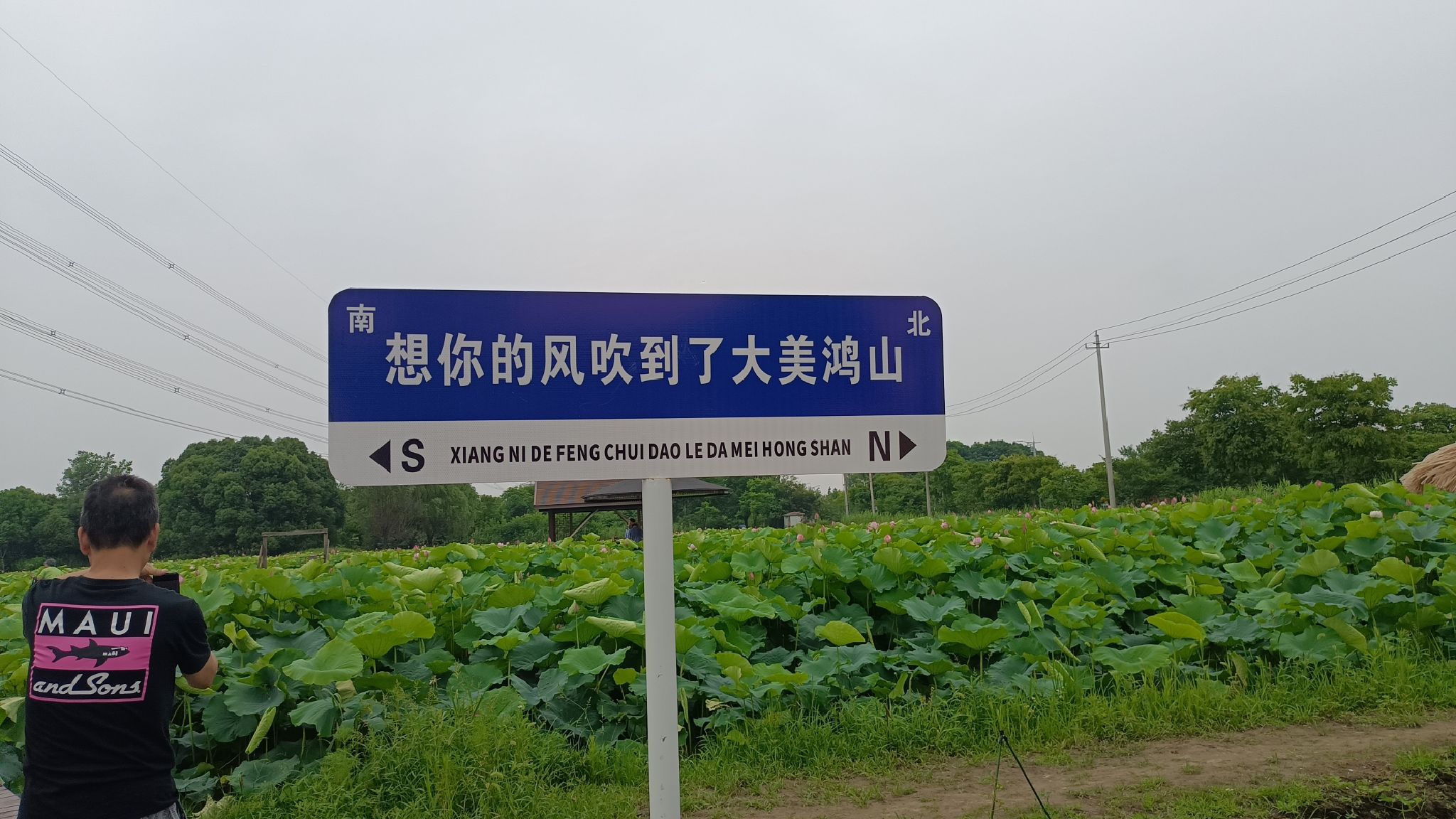 鸿山国家考古遗址公园旅行图片 2