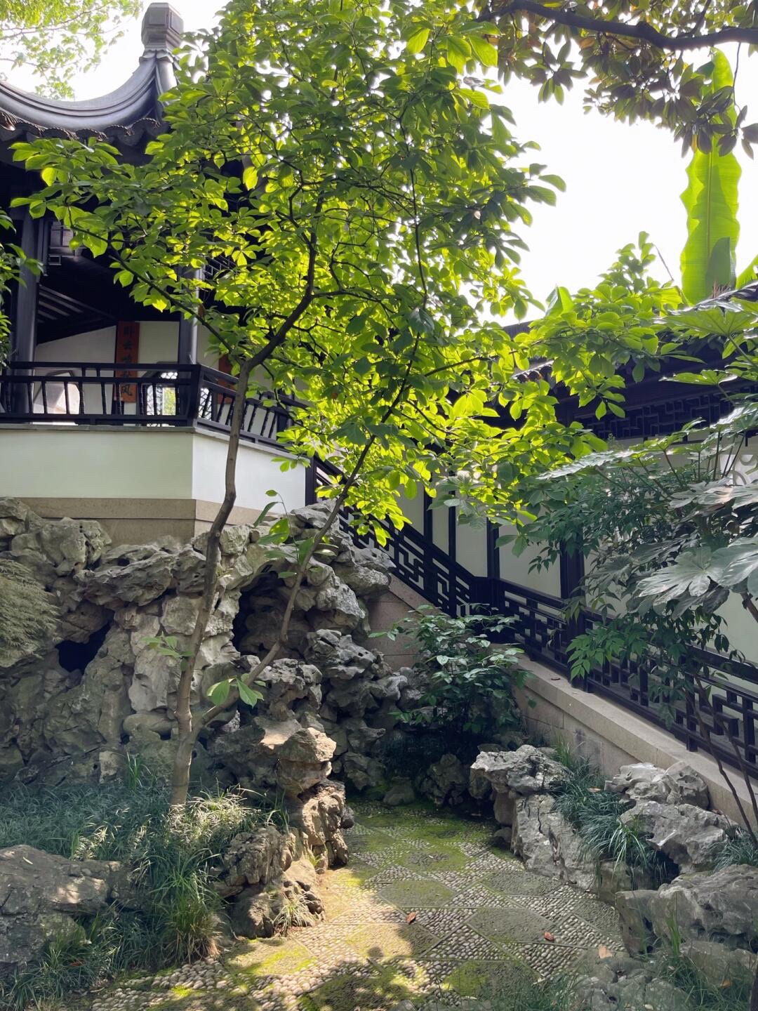 畅园旅行图片 3
