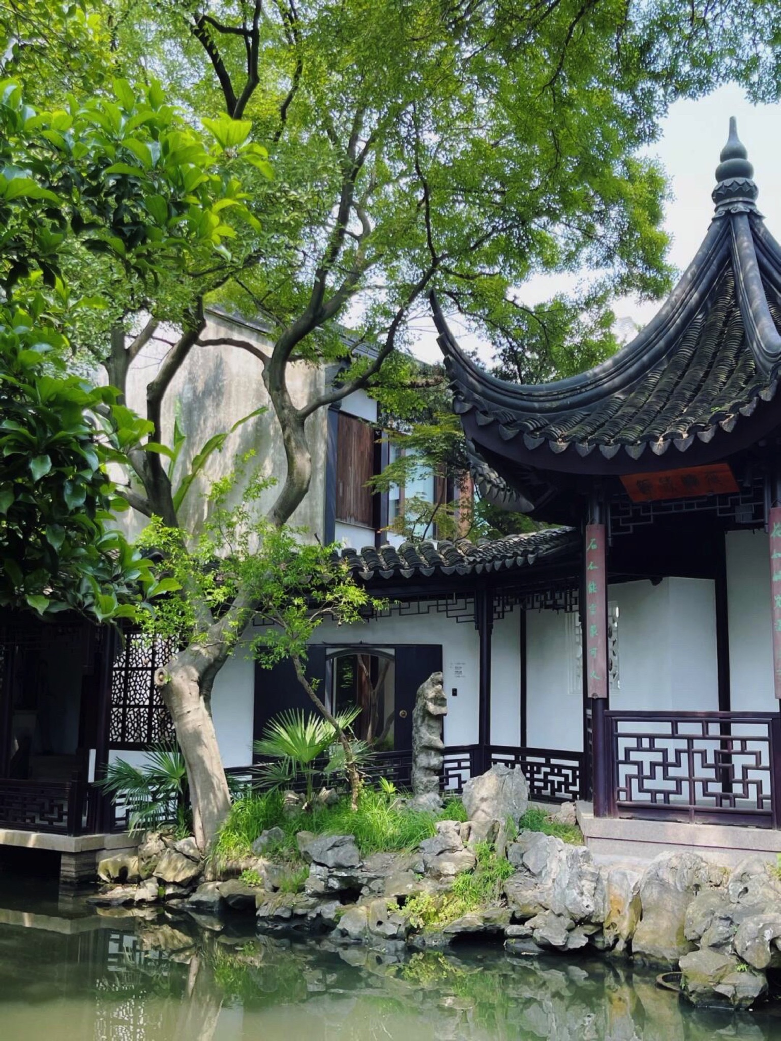 畅园旅行图片 1
