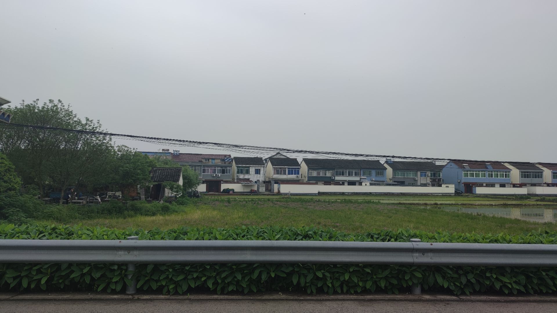 麦田火车旅行图片 2