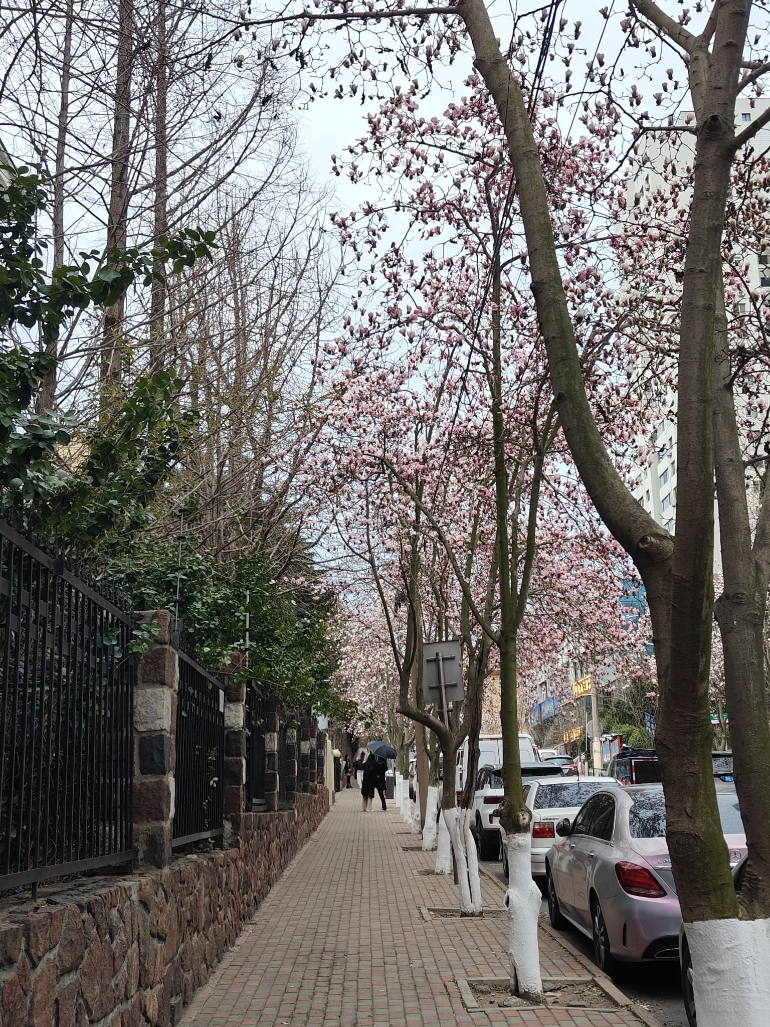 珠海一路