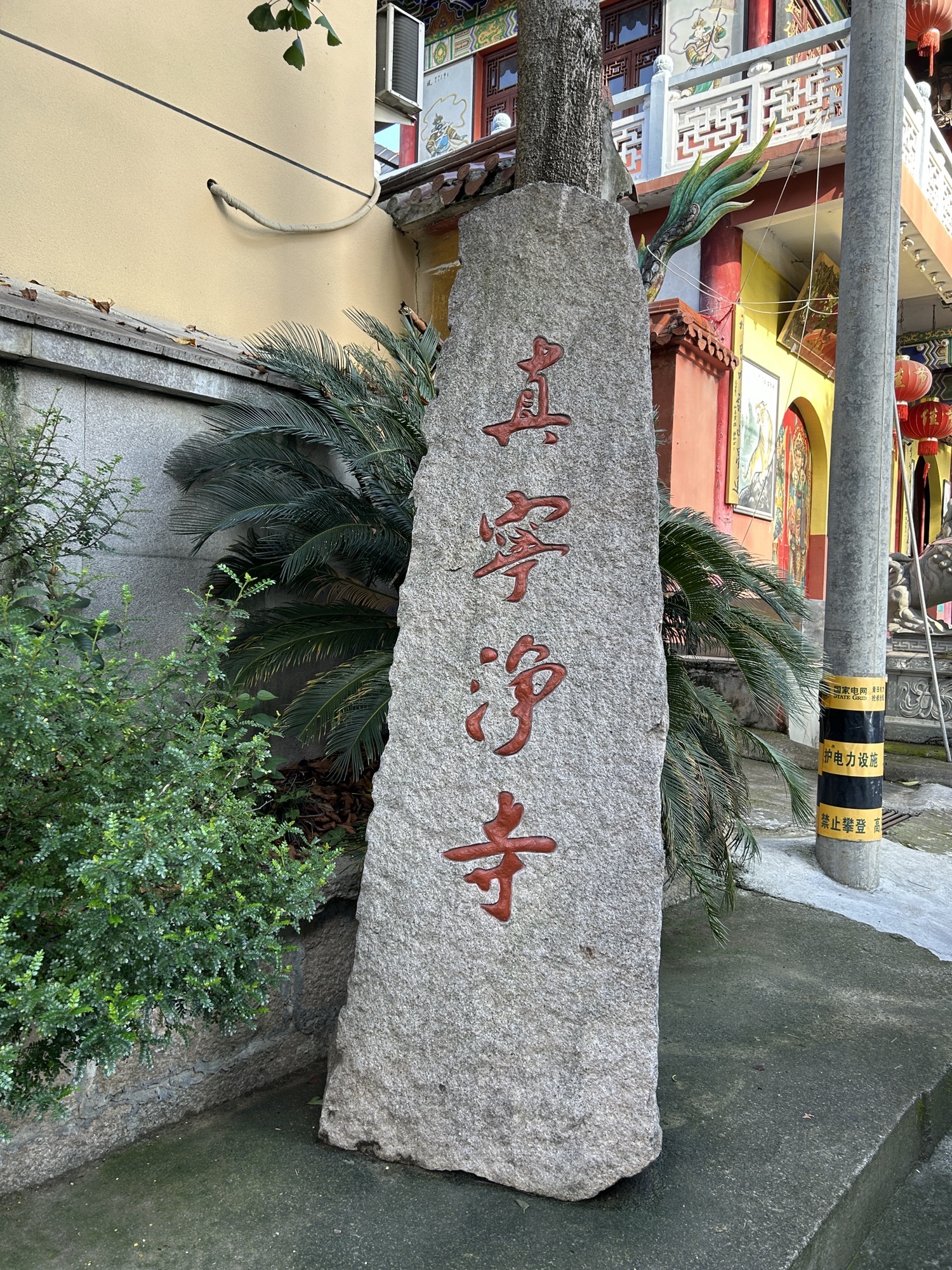真宁净寺旅行图片 1
