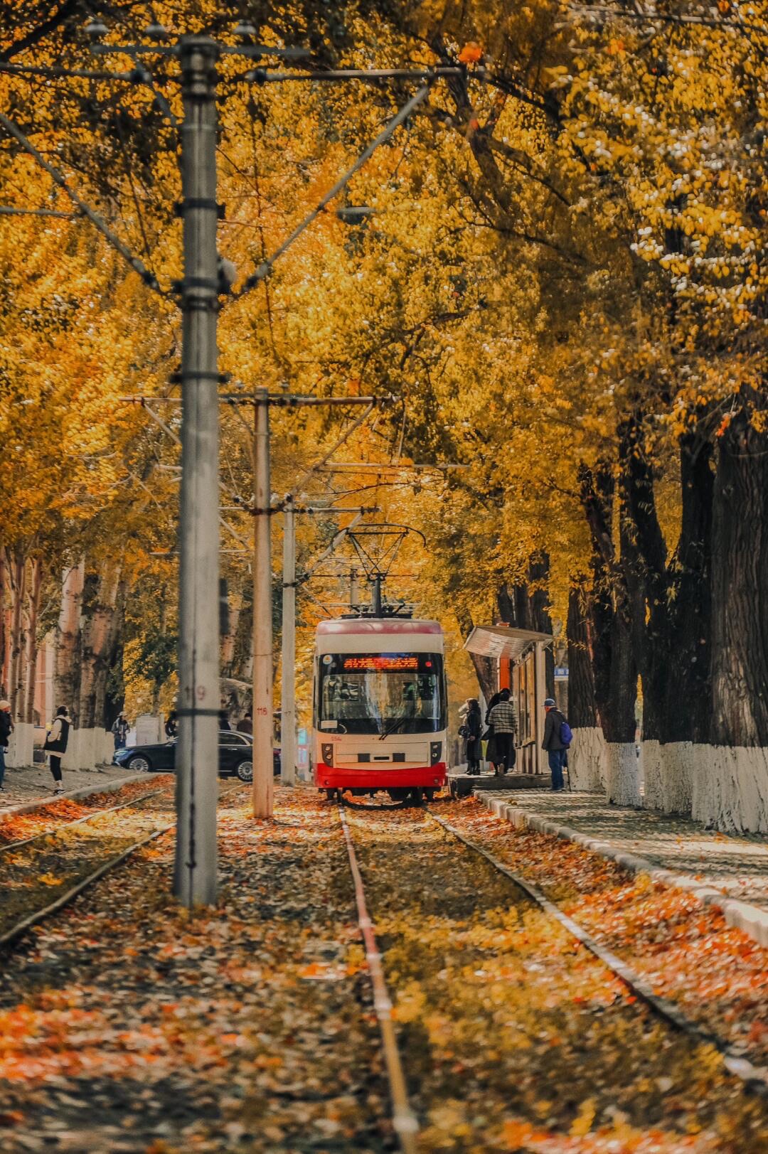 百木园旅行图片 2