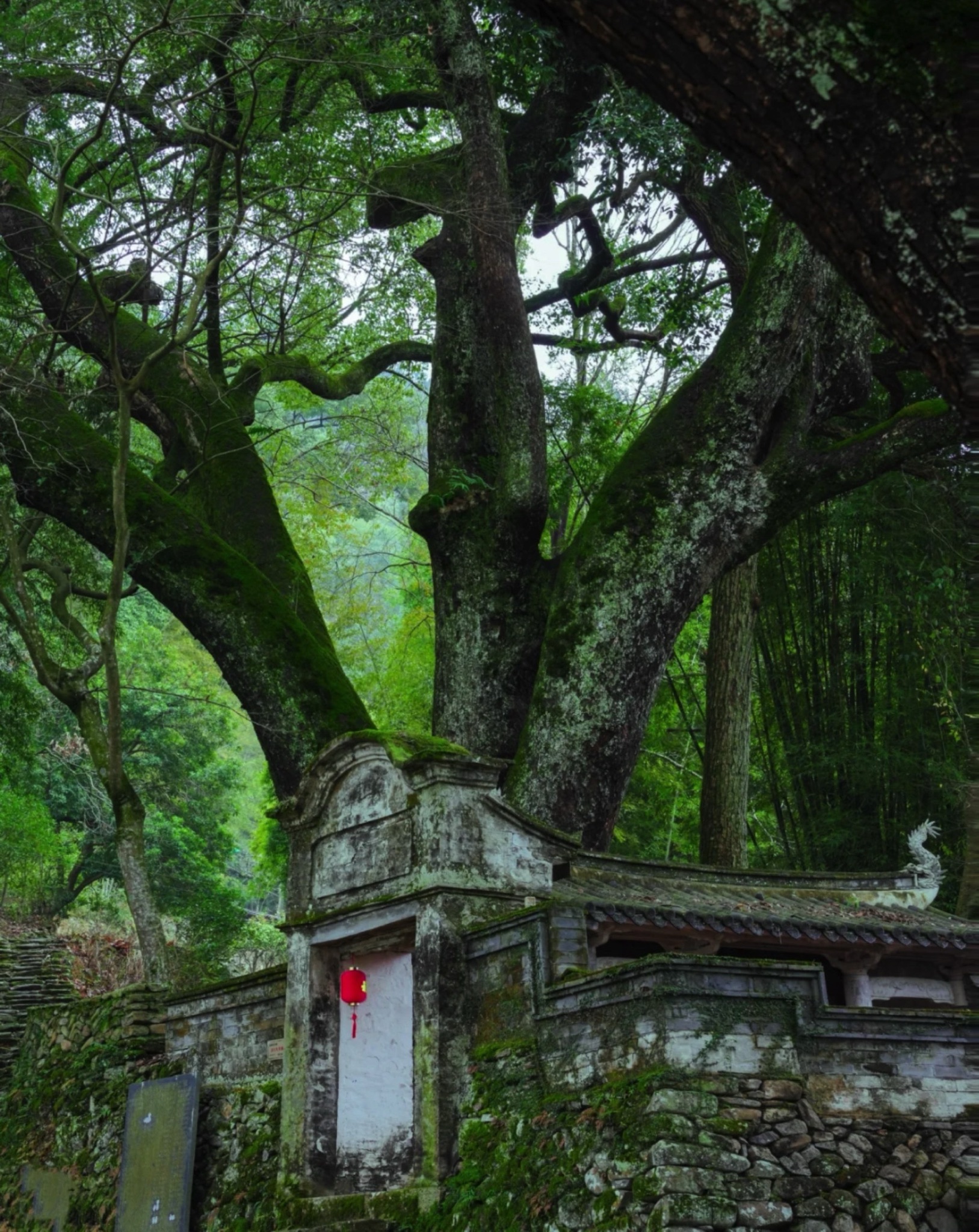 埭头古村旅行图片 1