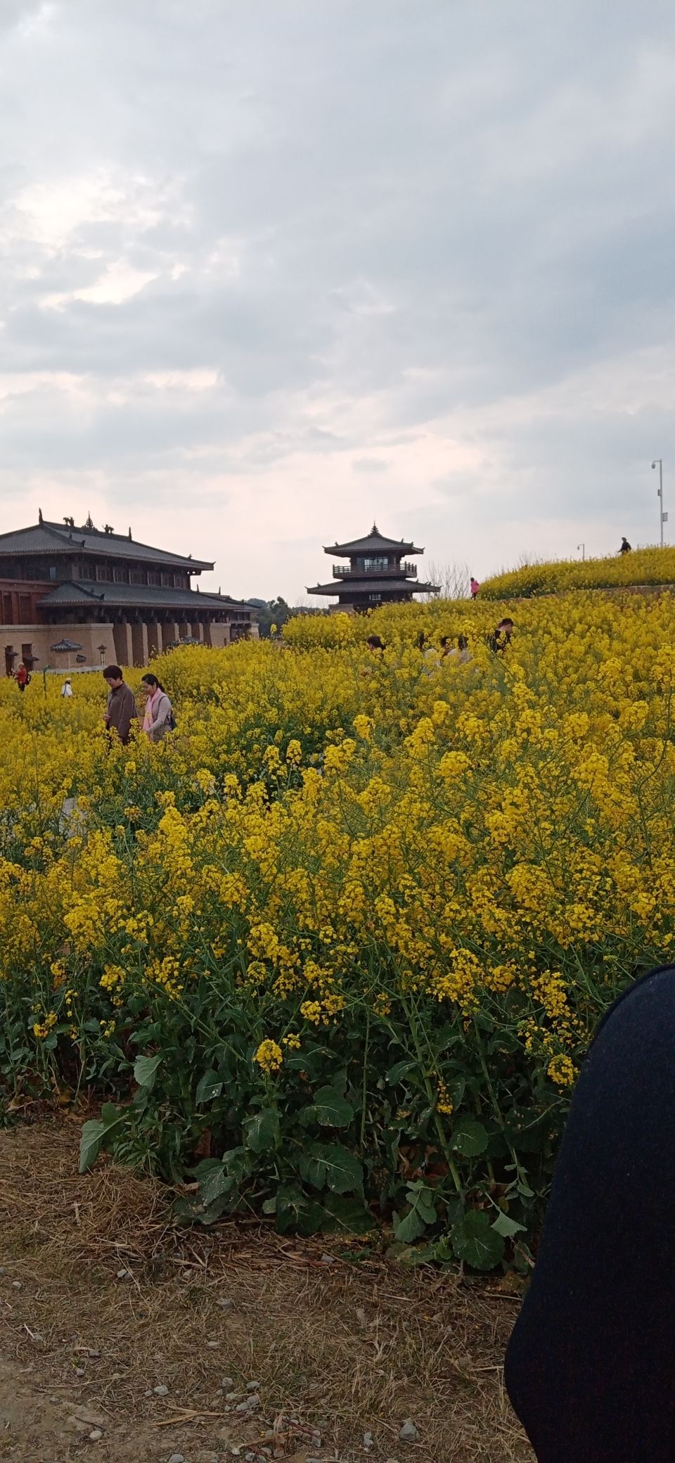 瞿上田园旅行图片 1