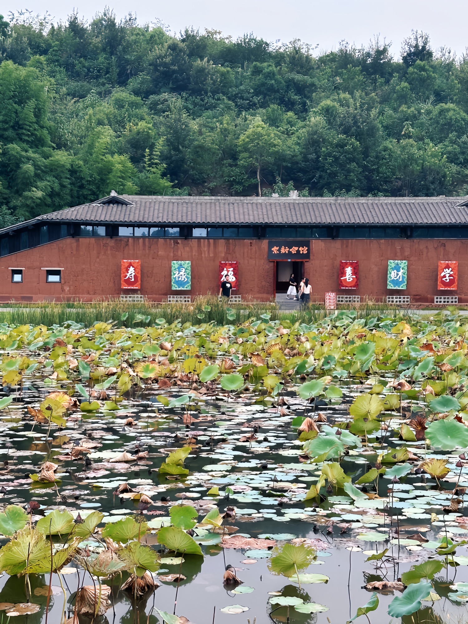 三鱼萌狮文化村旅行图片 2