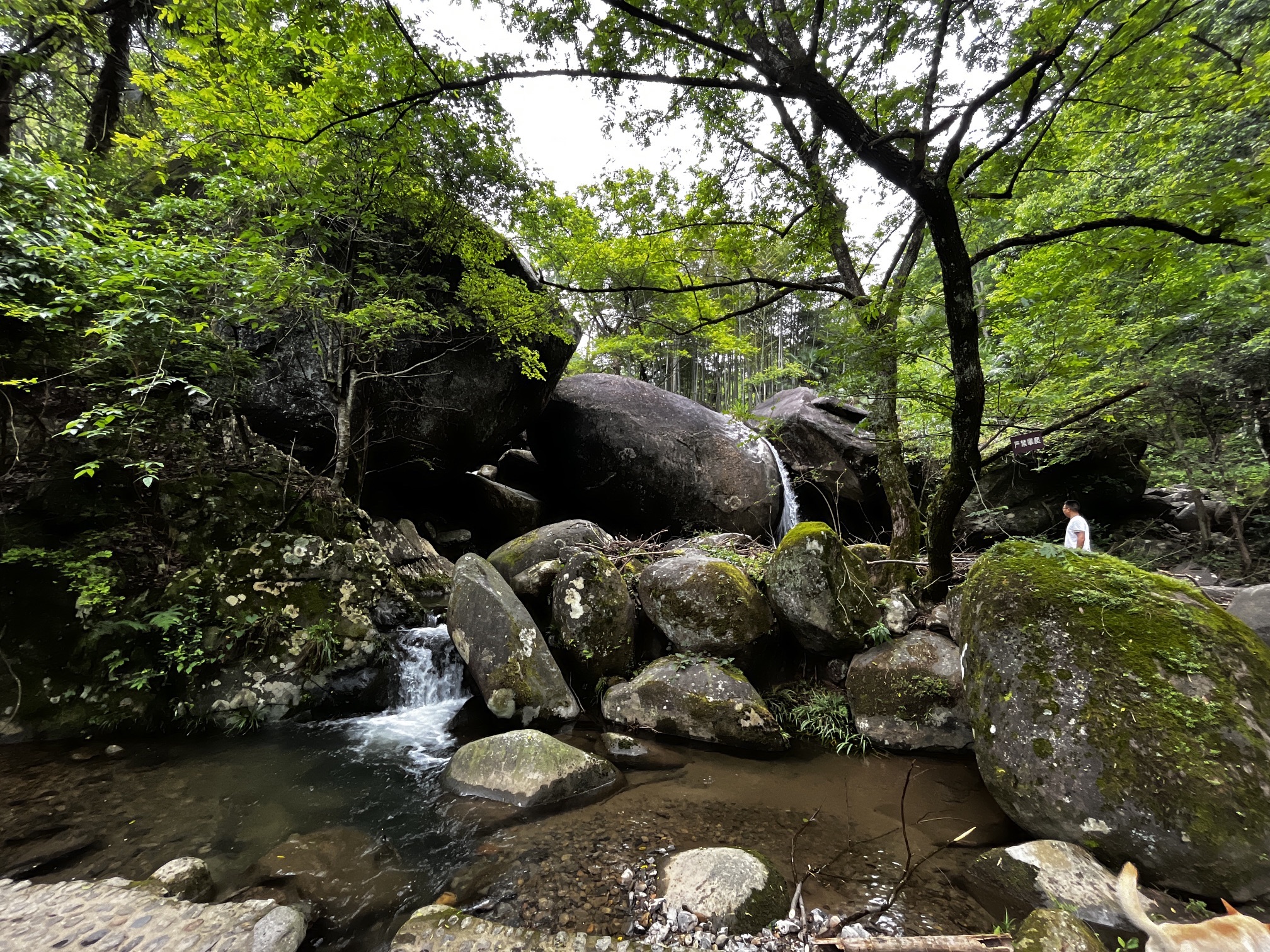 西溪磐石大峡谷旅行图片 2