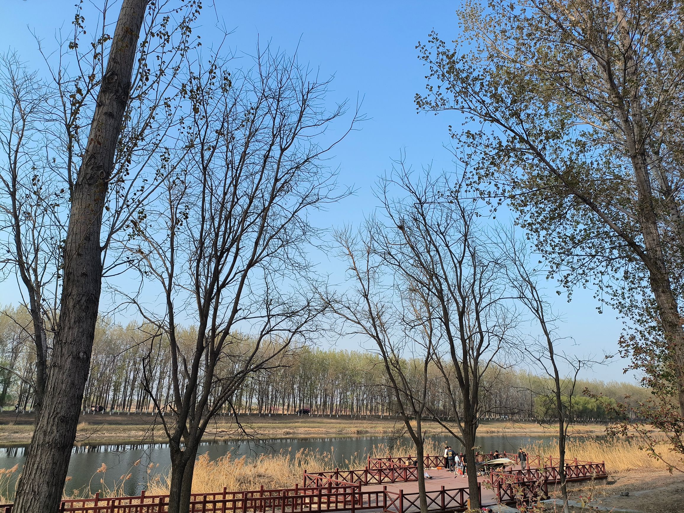 龙凤河观景台旅行图片 1