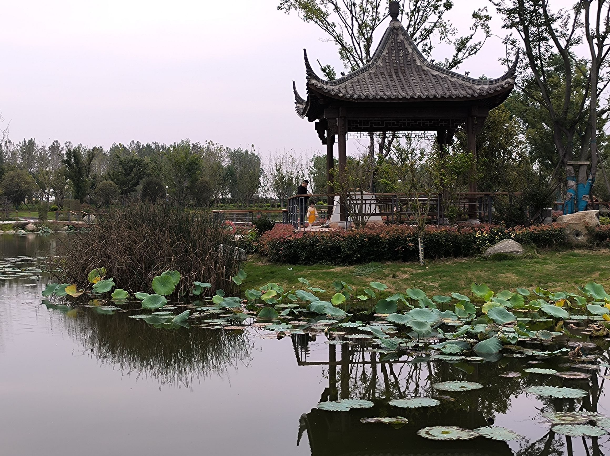 界首花博园旅行图片 1