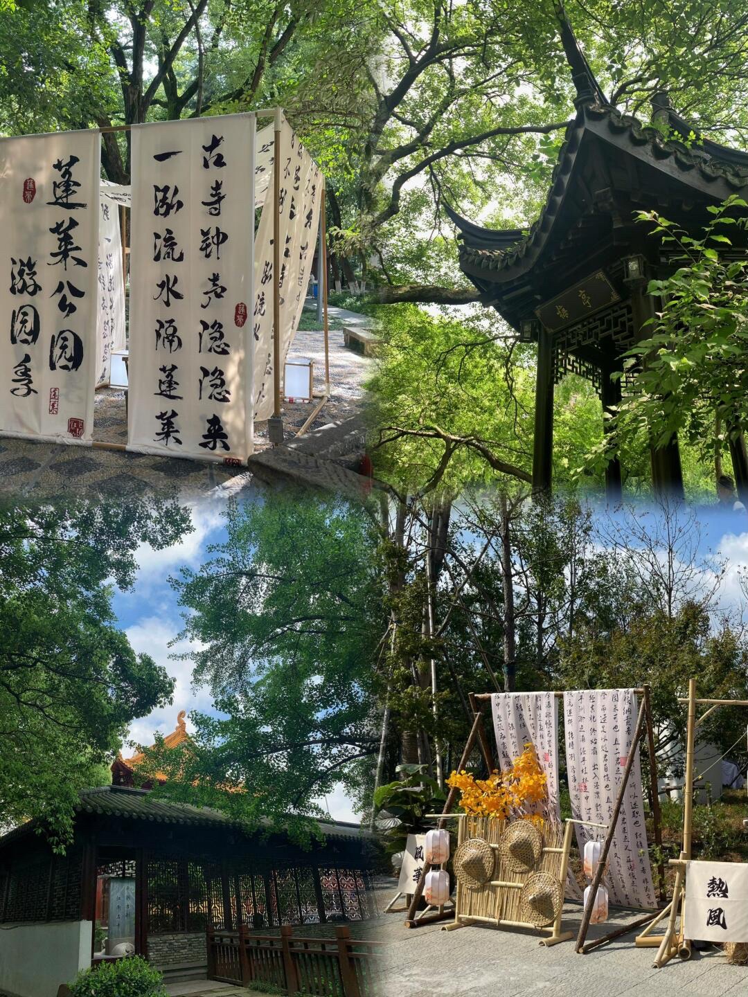 新塍古镇旅行图片 2