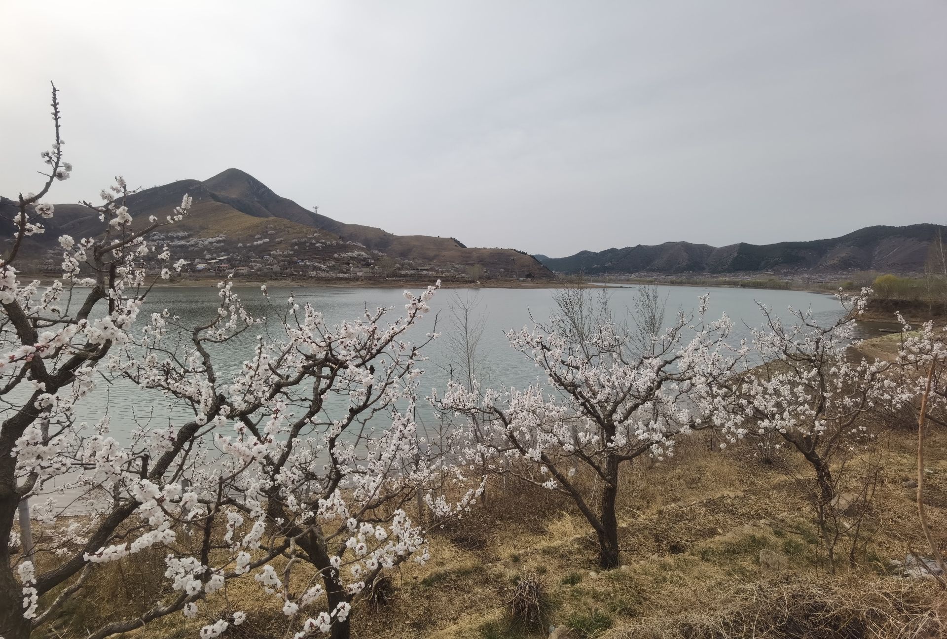 金凤湖旅行图片 1